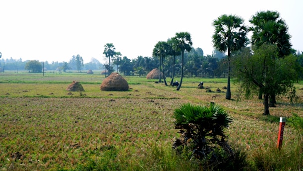 a large field with hay bales in the middle of it