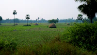 5-Day Itinerary for Bangaram: The Complete Day-by-Day Travel Plan