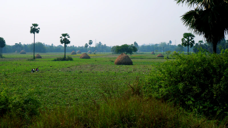 5-Day Itinerary for Bangaram: The Complete Day-by-Day Travel Plan