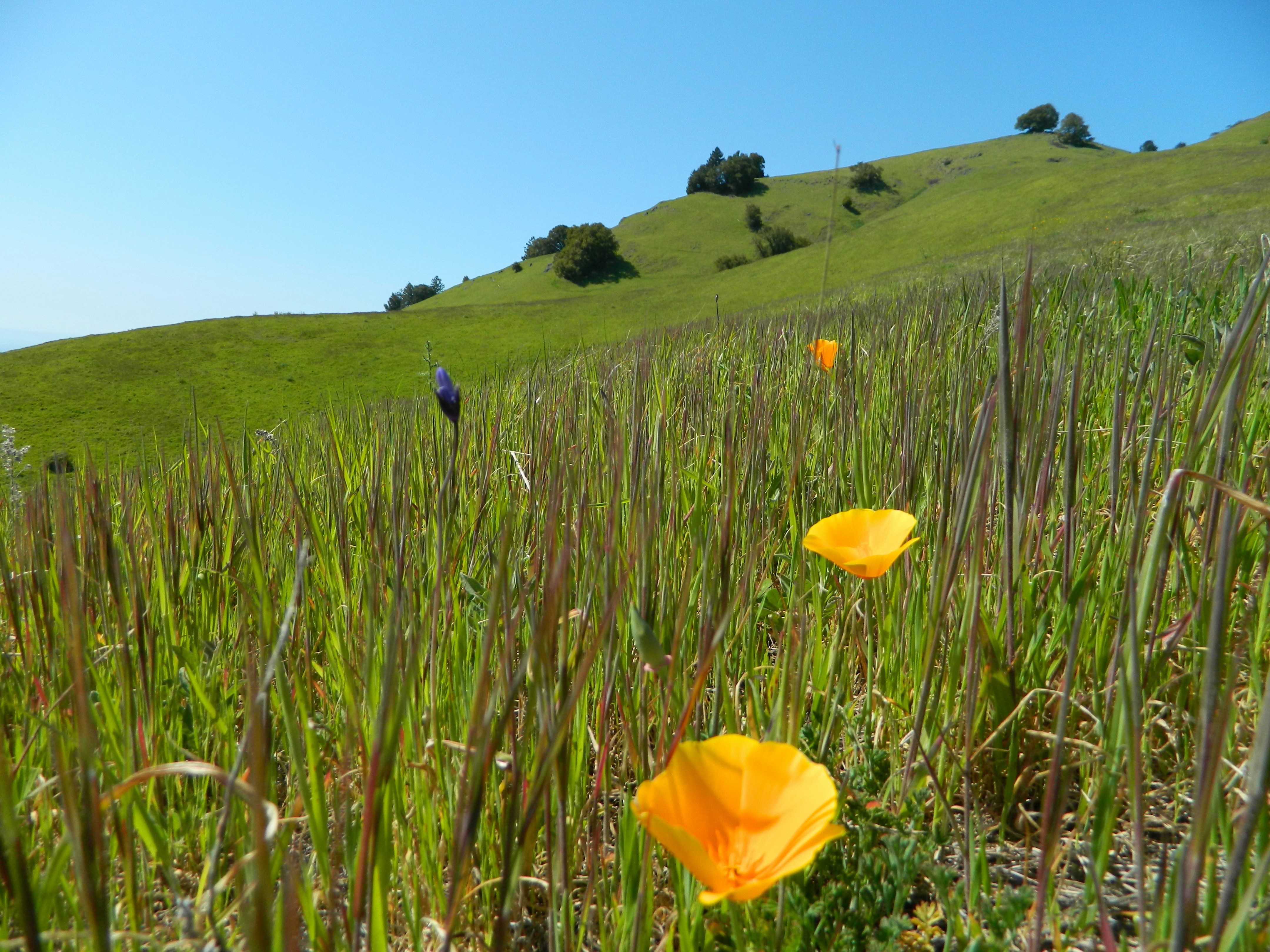 Photo by joeydiamondcutters