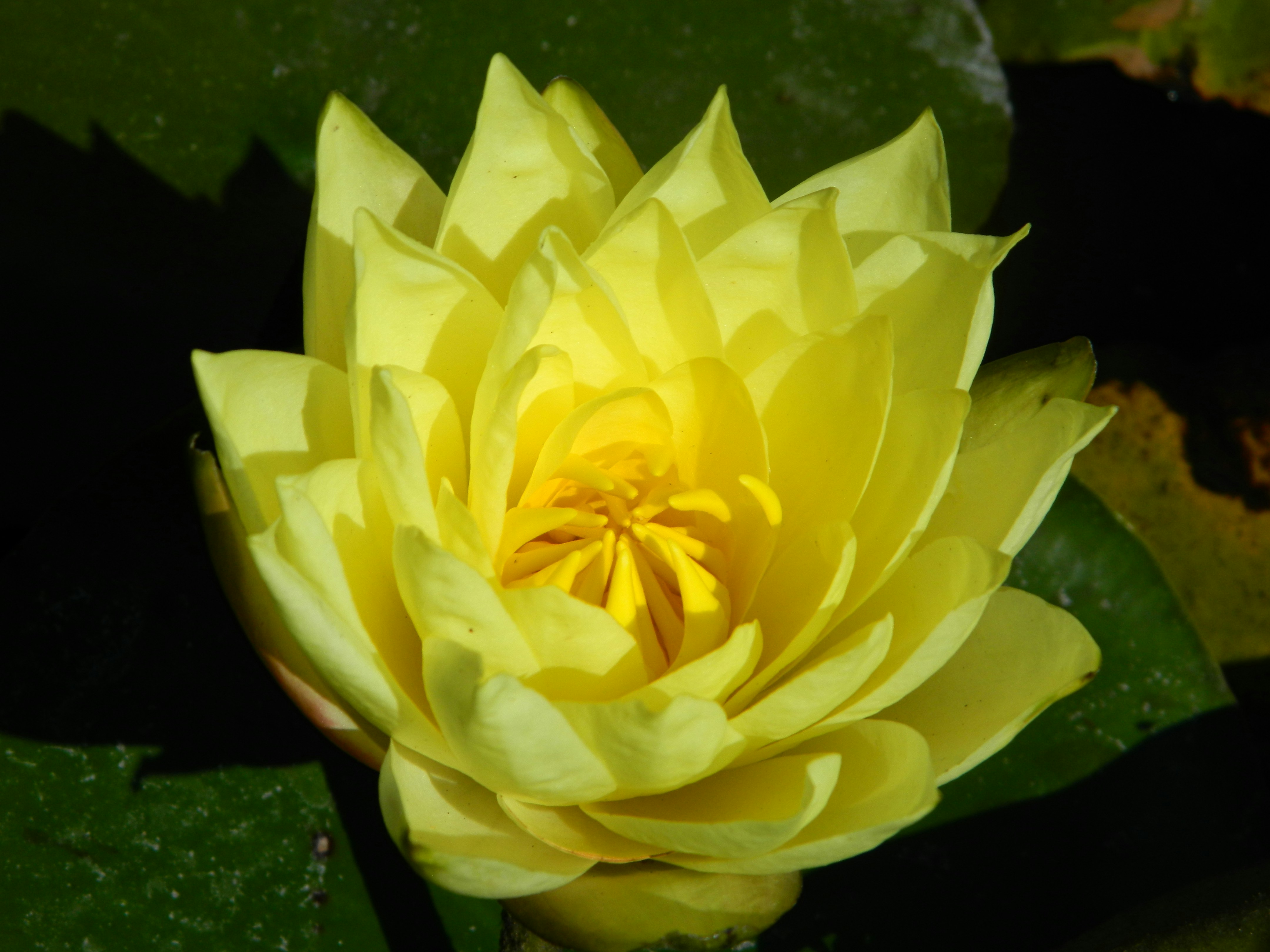 10 Self-Transformation Teachings to Strengthen Self-Awareness