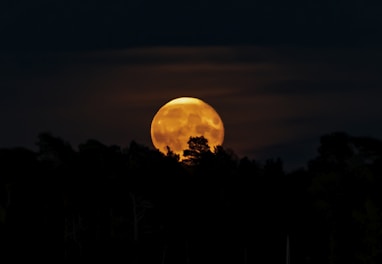Close-up of a golden moon hanging low above a quiet forest silhouette.