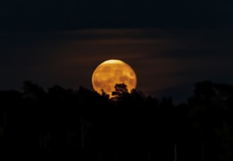 Close-up of a golden moon hanging low above a quiet forest silhouette.