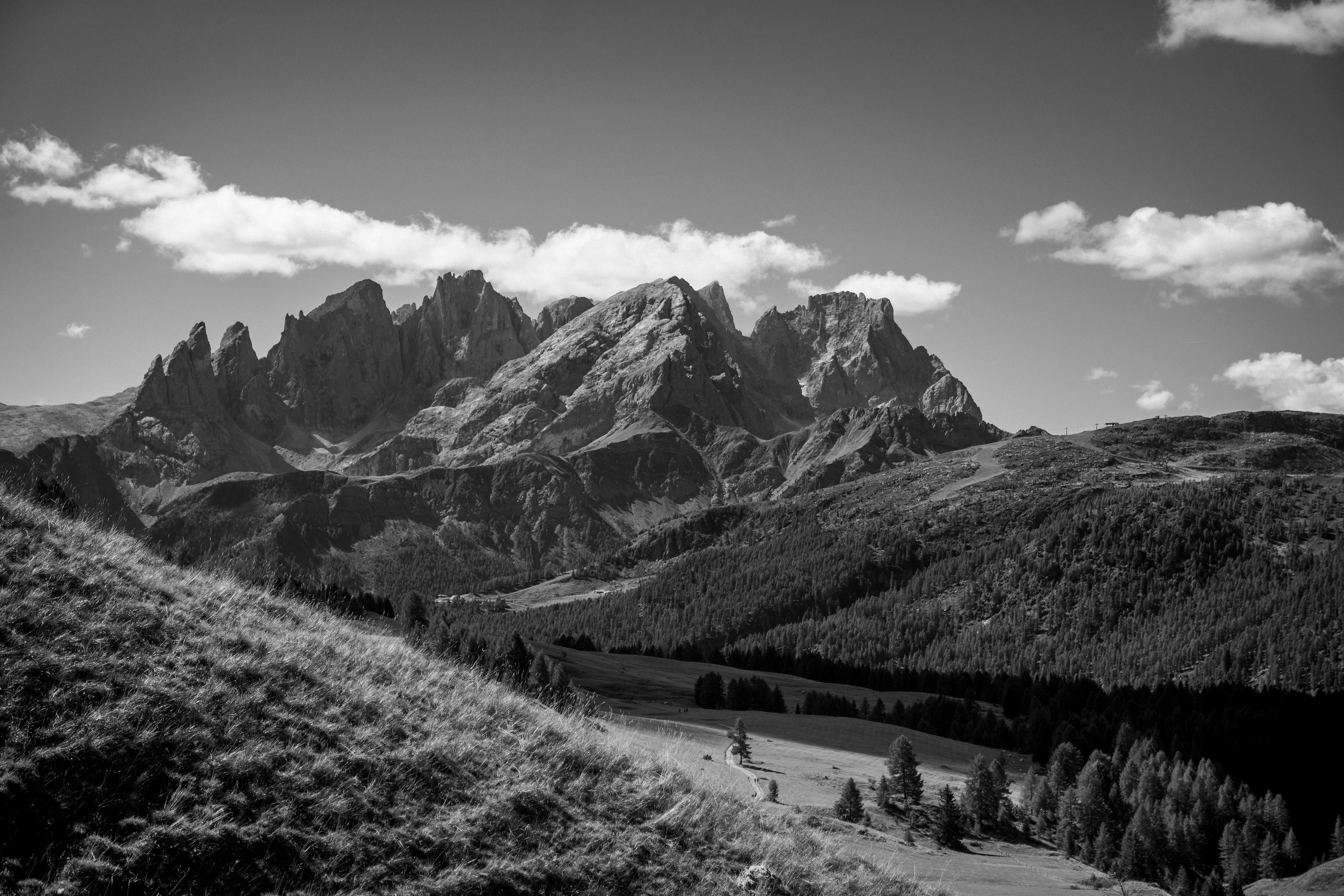 Photo by benguernsey