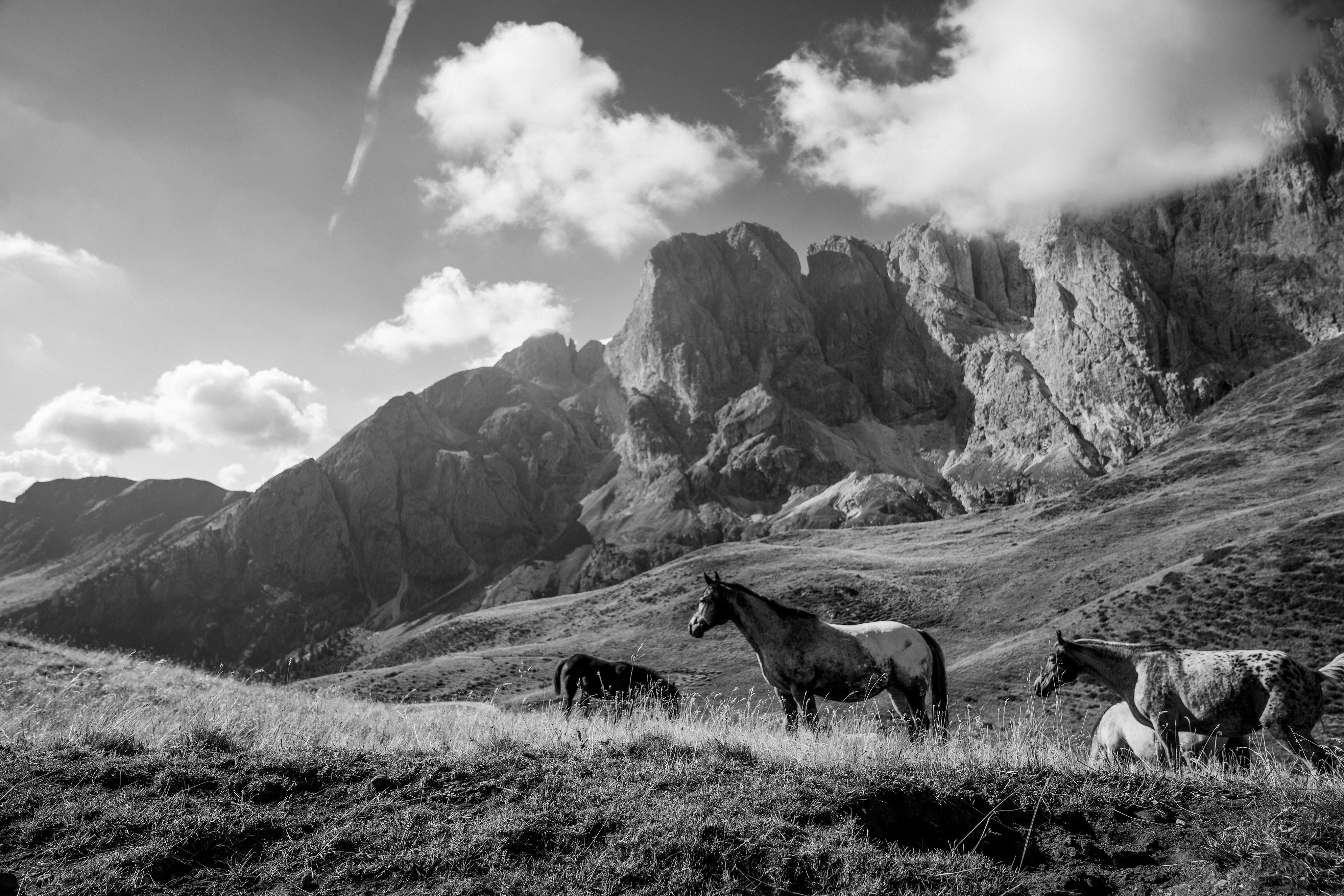 Photo by benguernsey