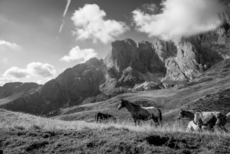 Hunters on horseback pausing on a ridge overlooking a vast wilderness.