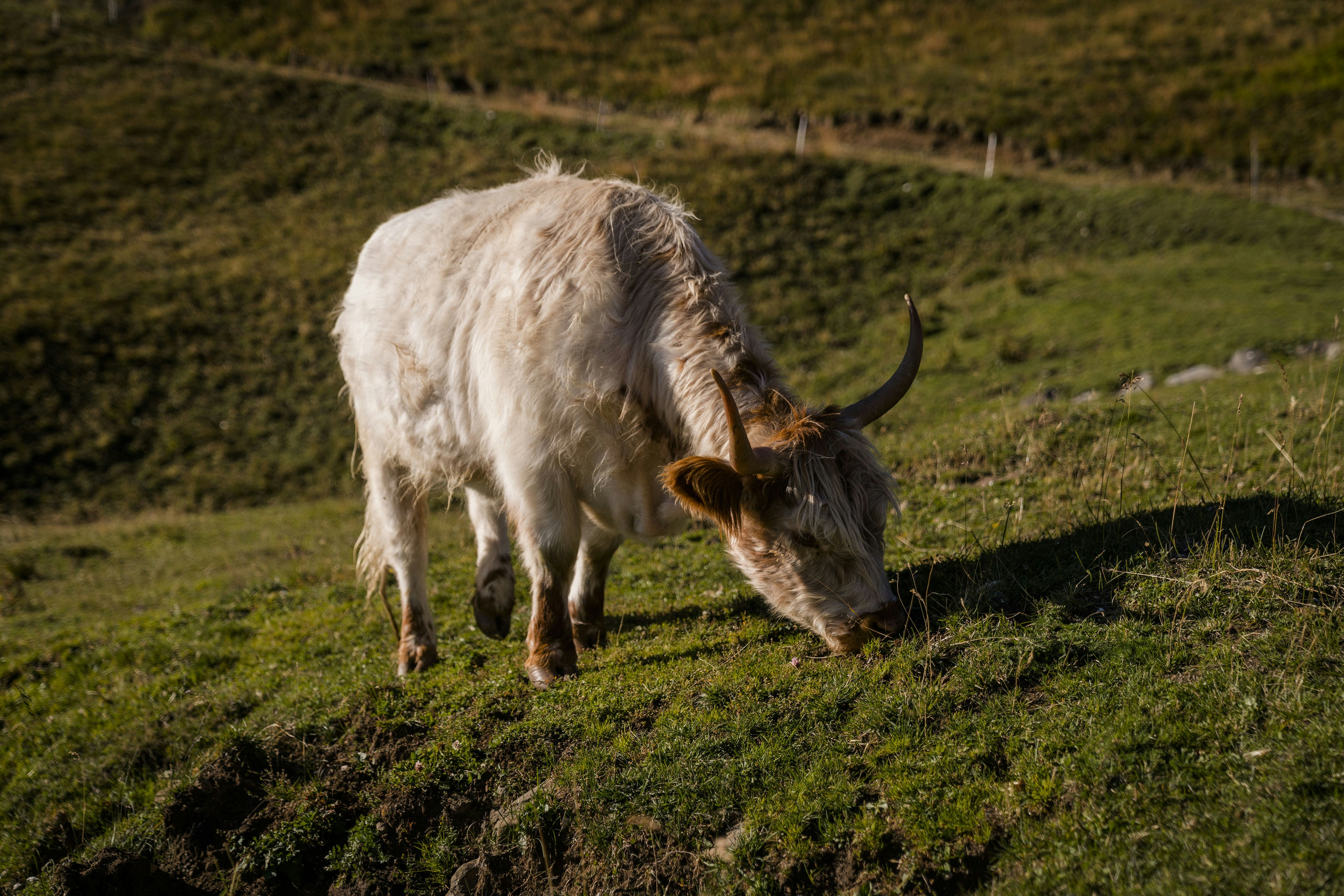 Photo by benguernsey