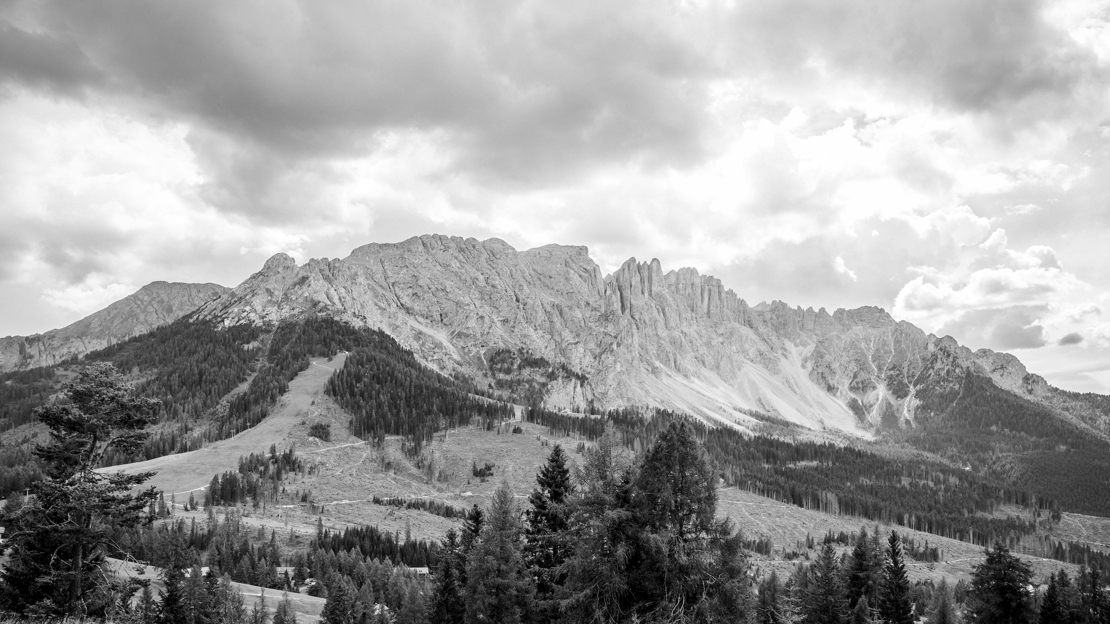 Photo by benguernsey