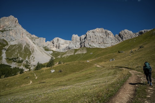 A rugged mountain range under a clear blue sky forms the backdrop, with a gently sloping hillside covered in green grass and scattered rocks in the foreground. A single hiker carrying a backpack and using trekking poles walks along a dirt path leading towards the mountains.