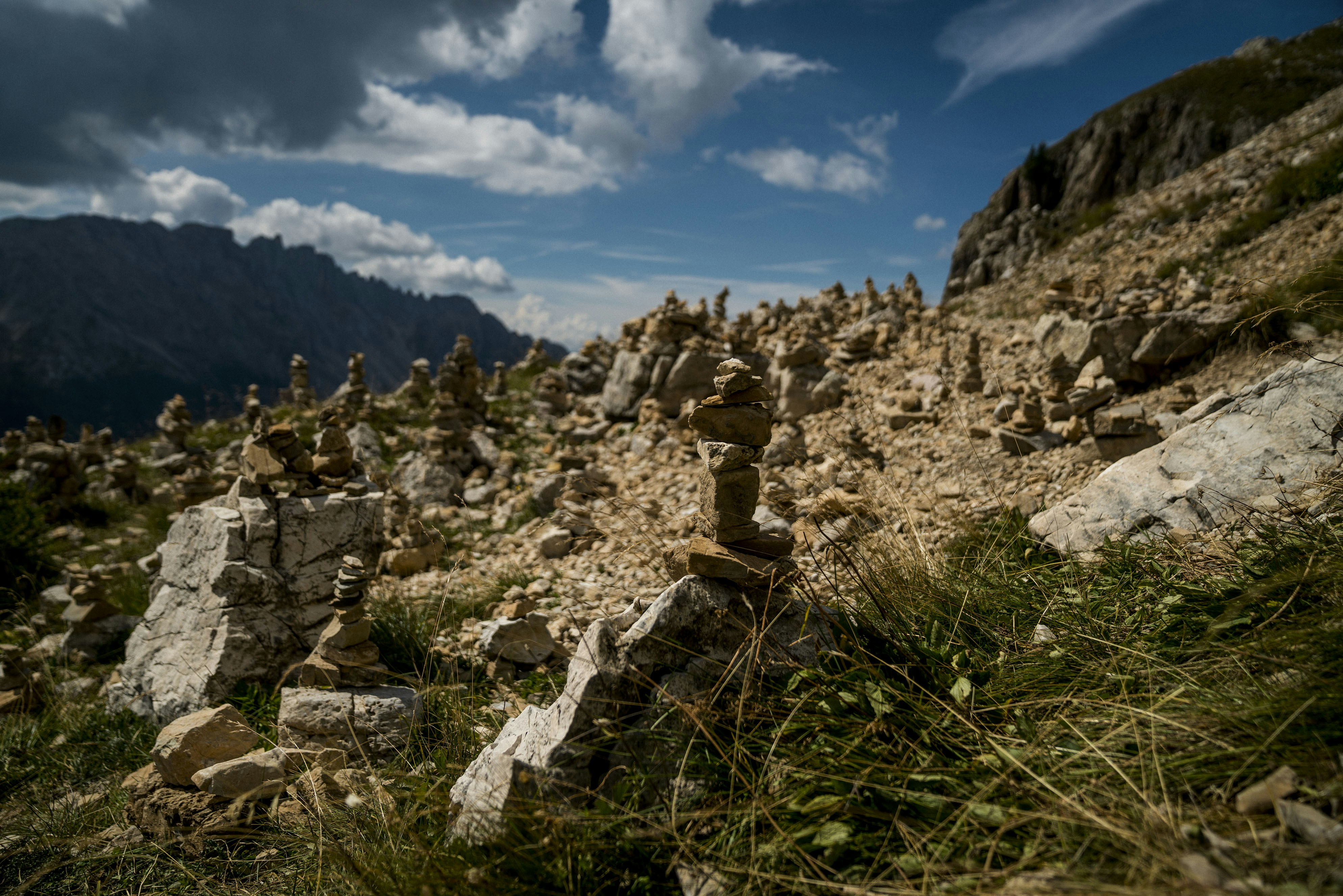 Photo by benguernsey