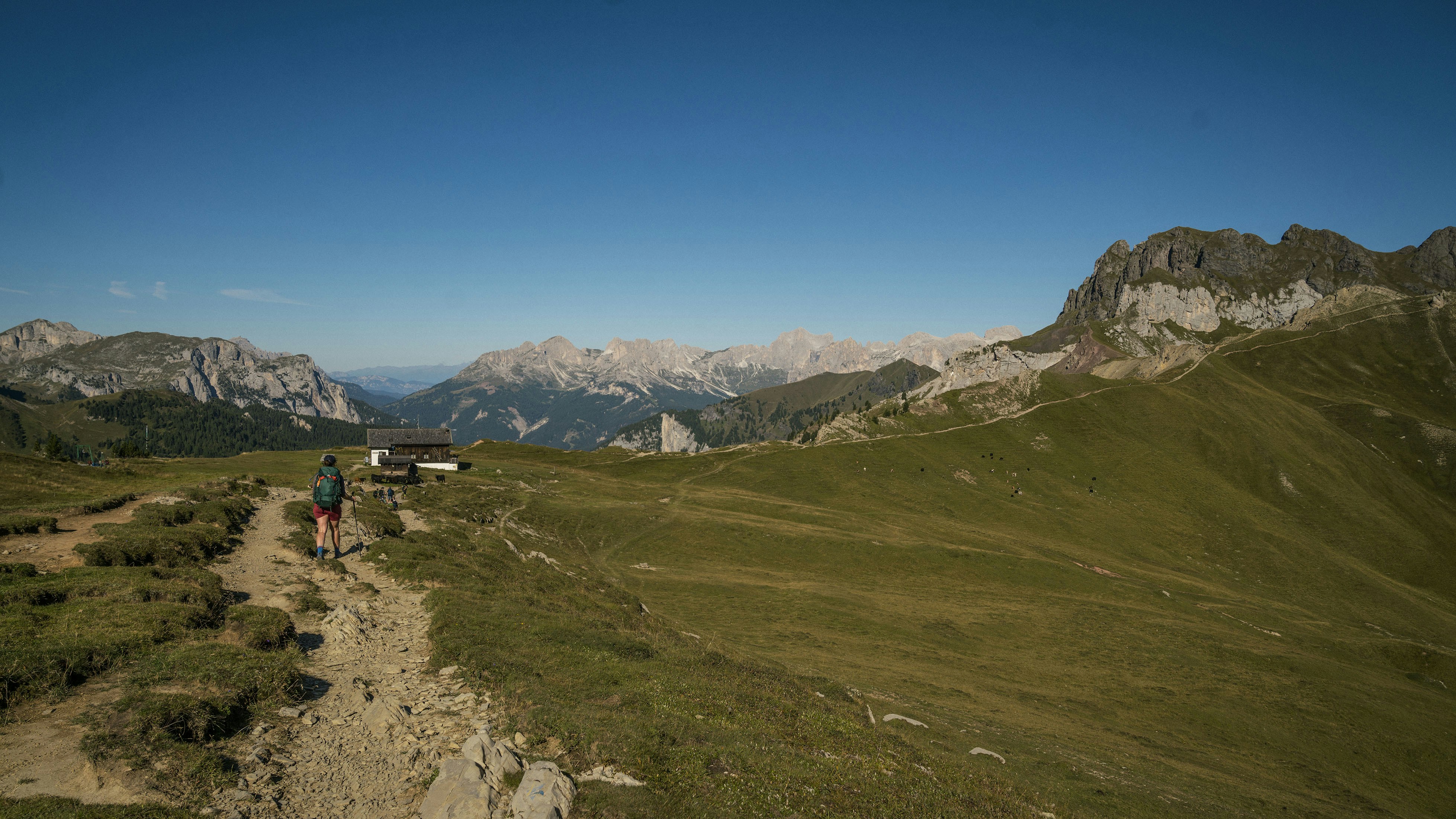 Photo by benguernsey