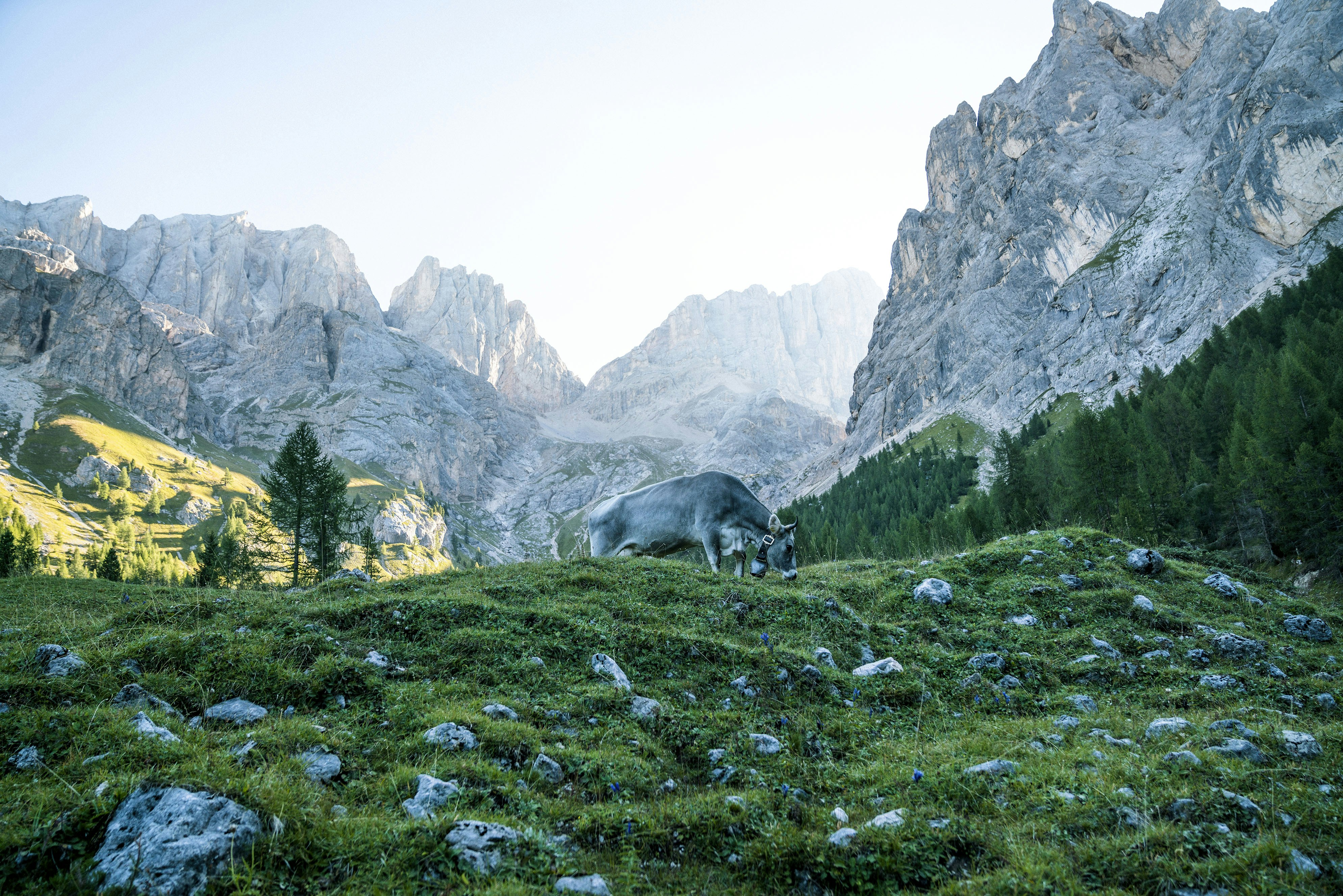 Photo by benguernsey