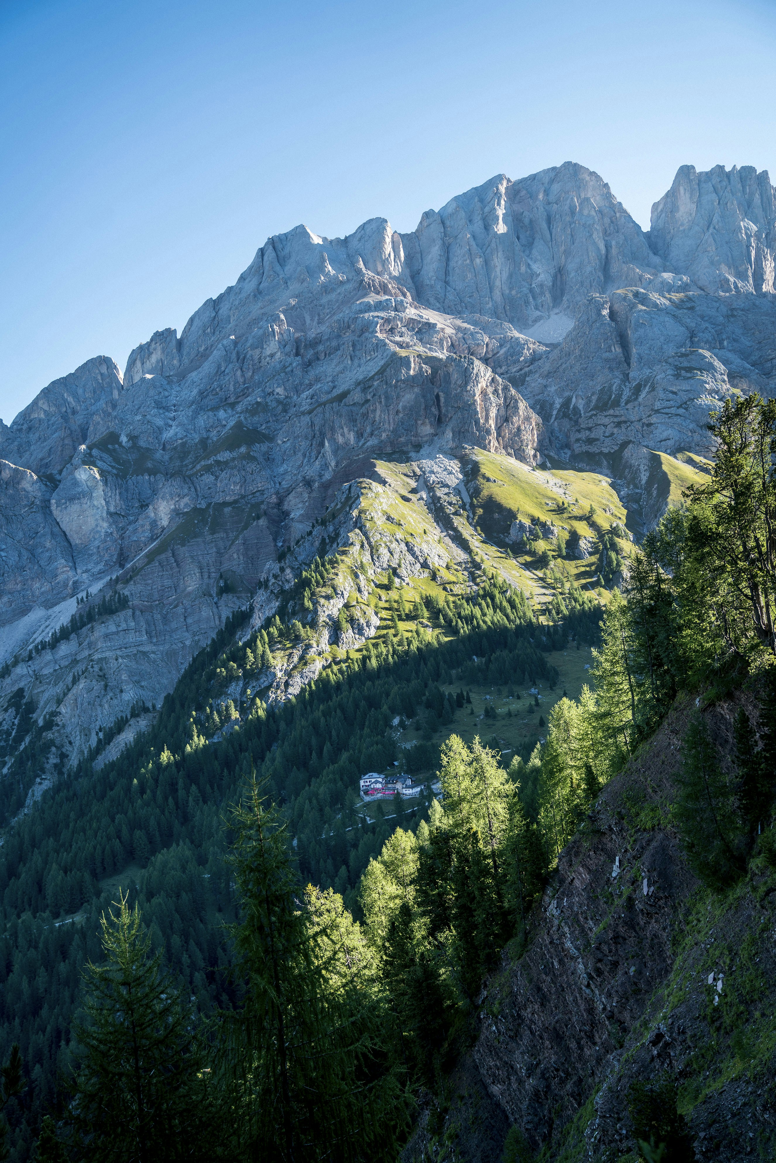 Photo by benguernsey