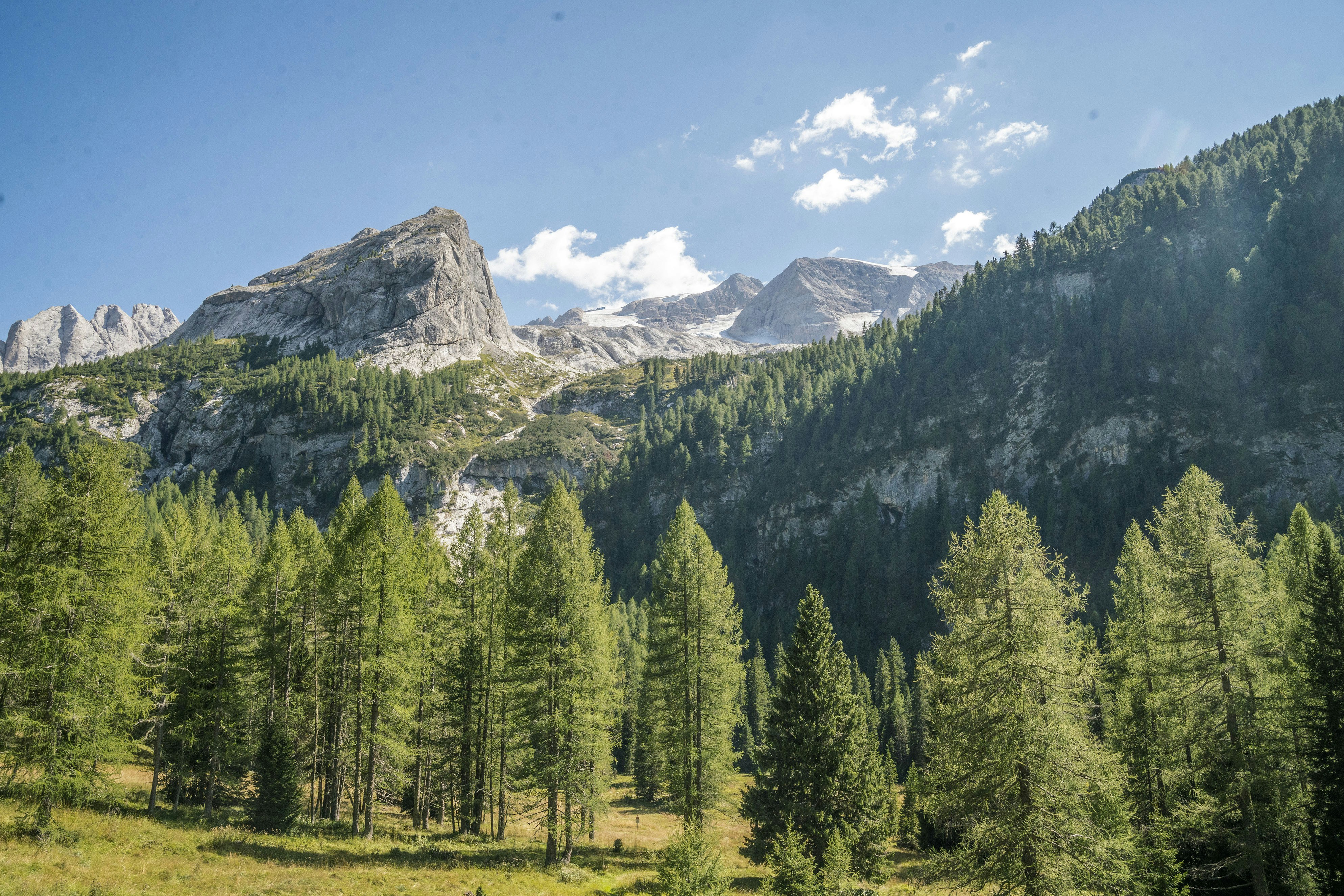 Photo by benguernsey