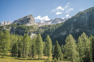 A serene landscape of a travel destination with mountains and greenery.