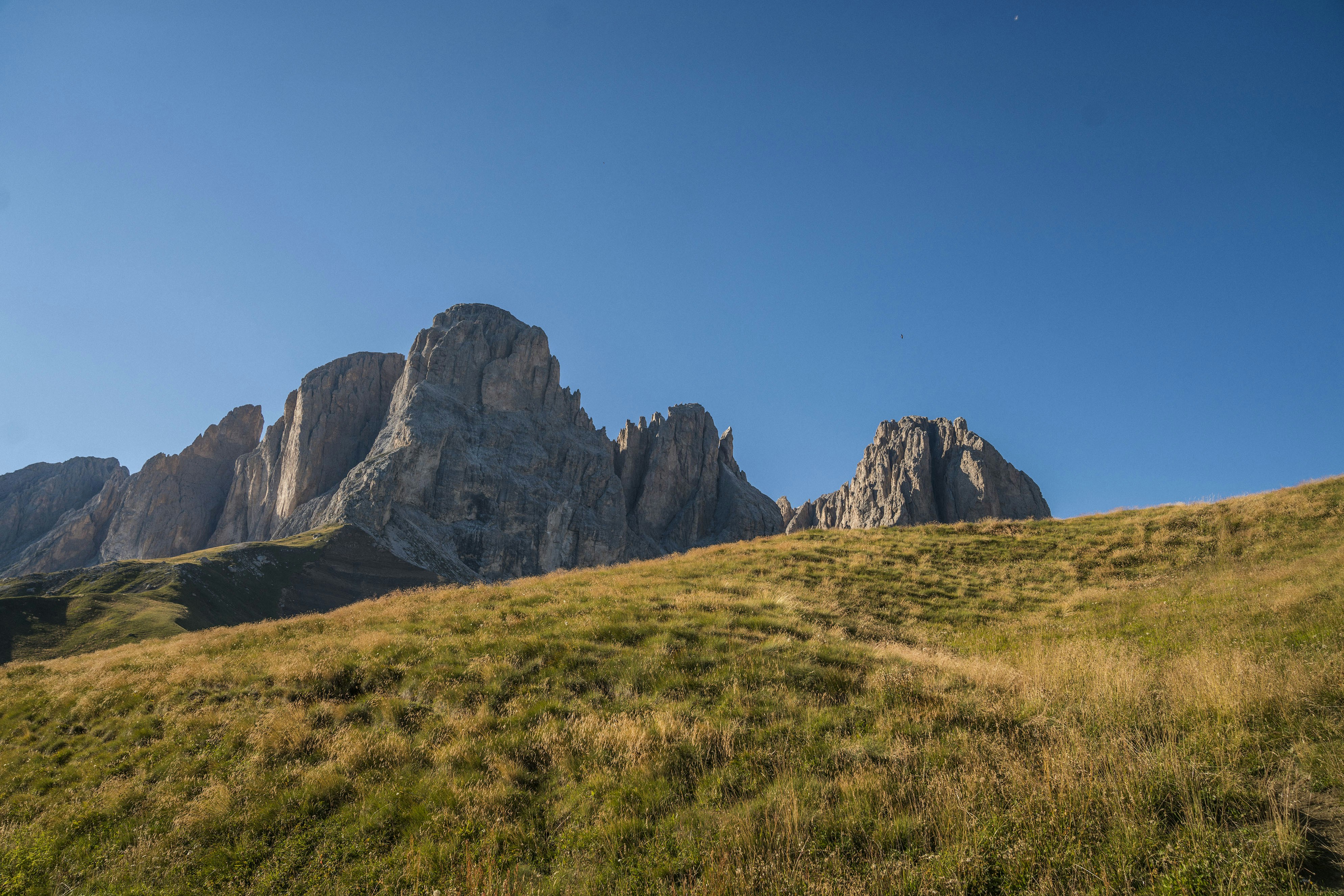 Photo by benguernsey