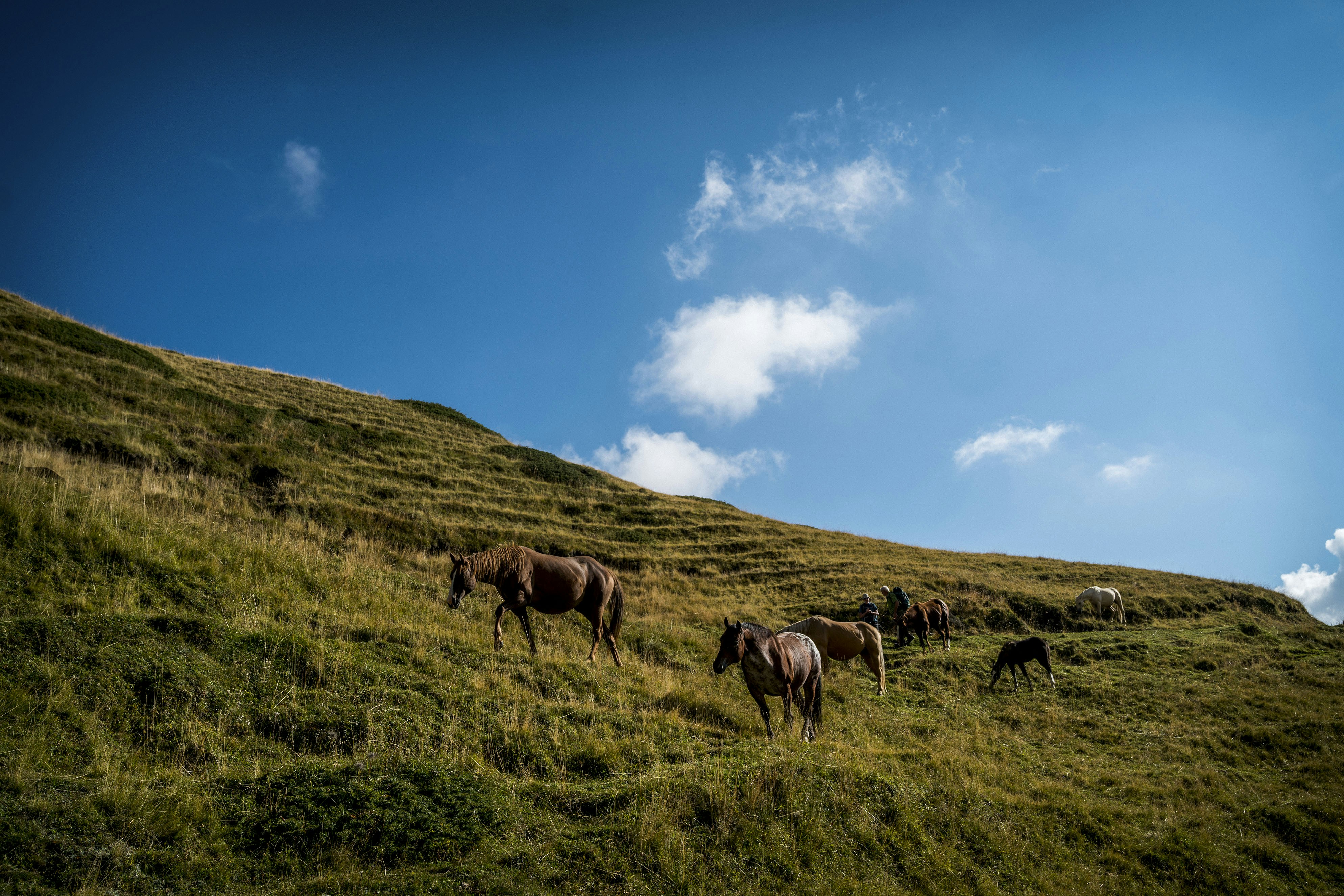 Photo by benguernsey