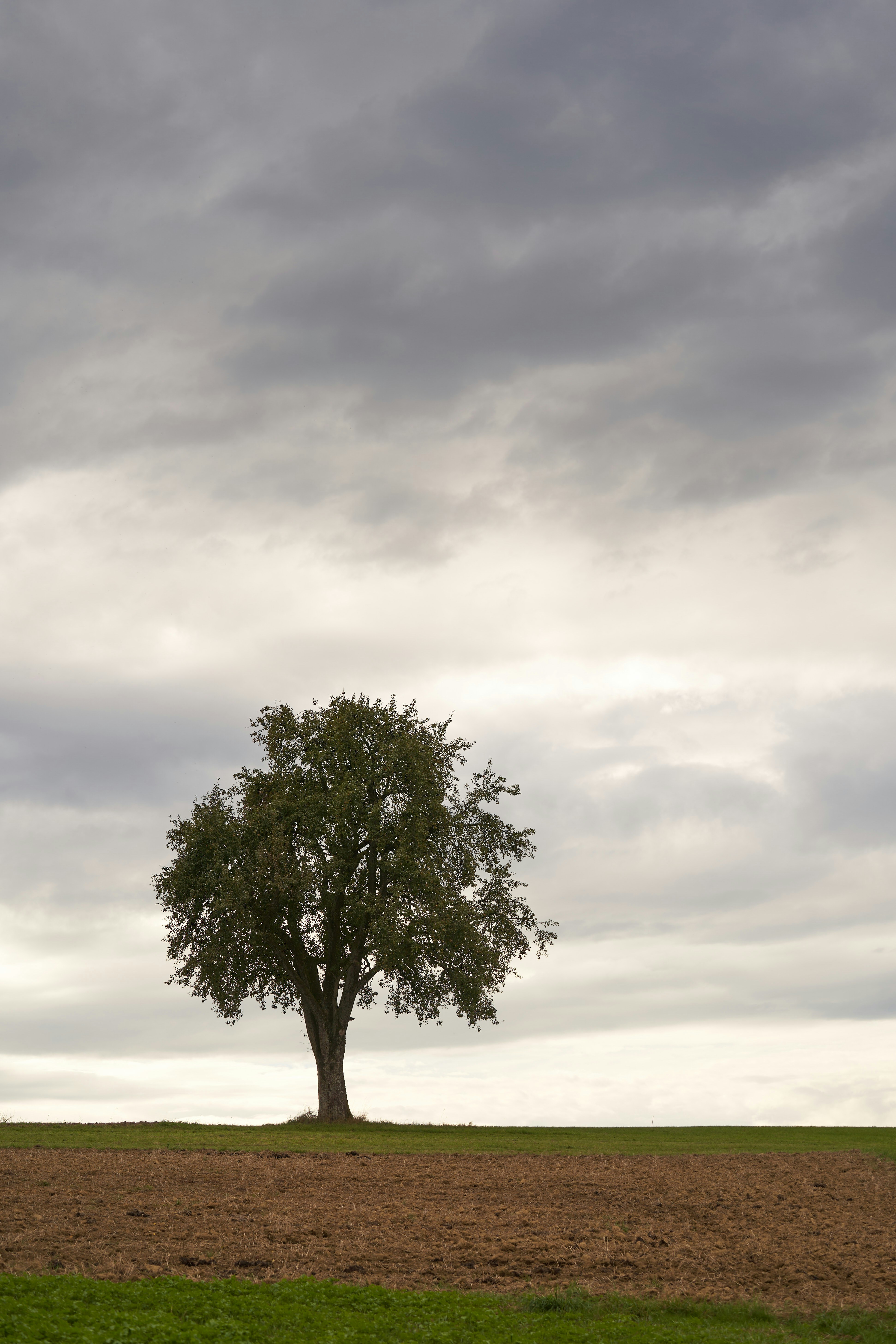 Photo by wolfgang_hasselmann