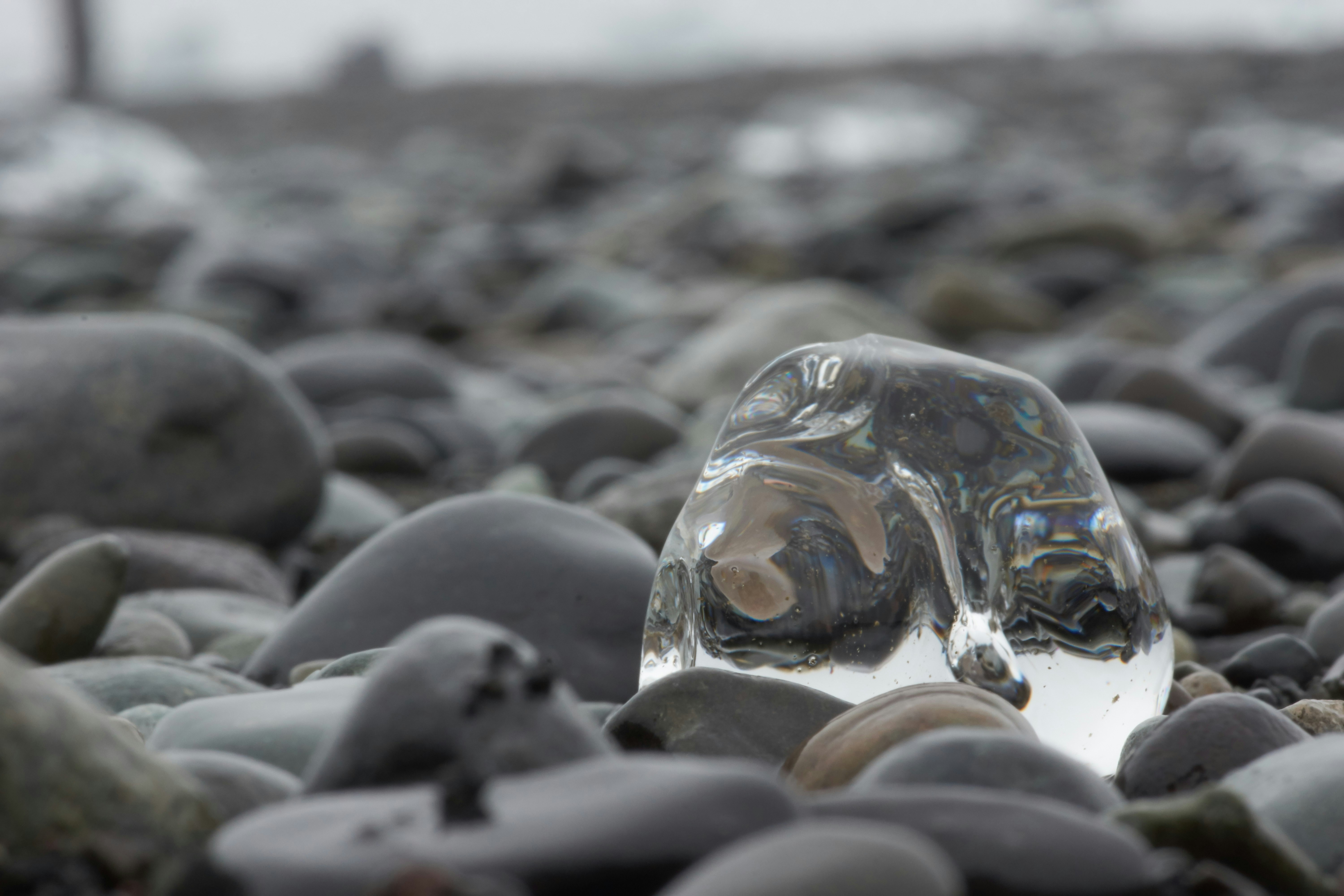 Photo by wolfgang_hasselmann