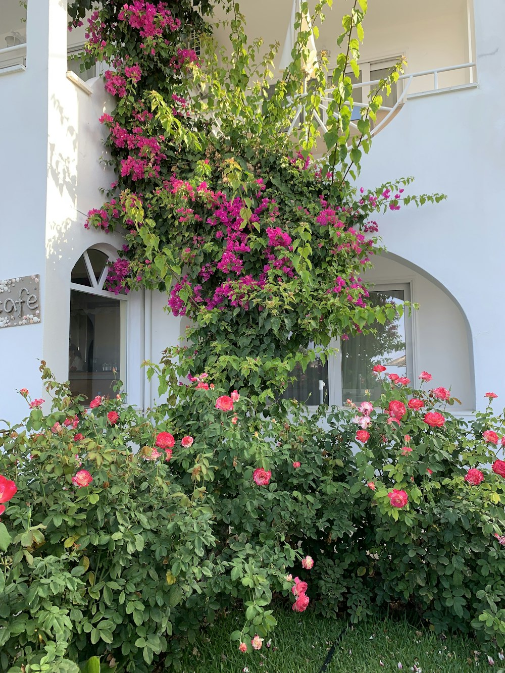 a white building with a bunch of pink flowers on it