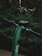 A green electric scooter is parked in front of dense green bushes. The scooter has black handles and a visible branding logo.