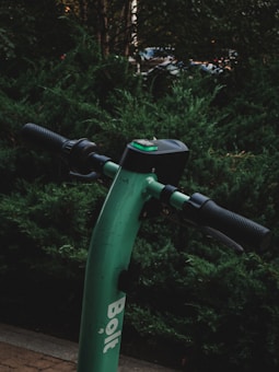 A green electric scooter is parked in front of dense green bushes. The scooter has black handles and a visible branding logo.