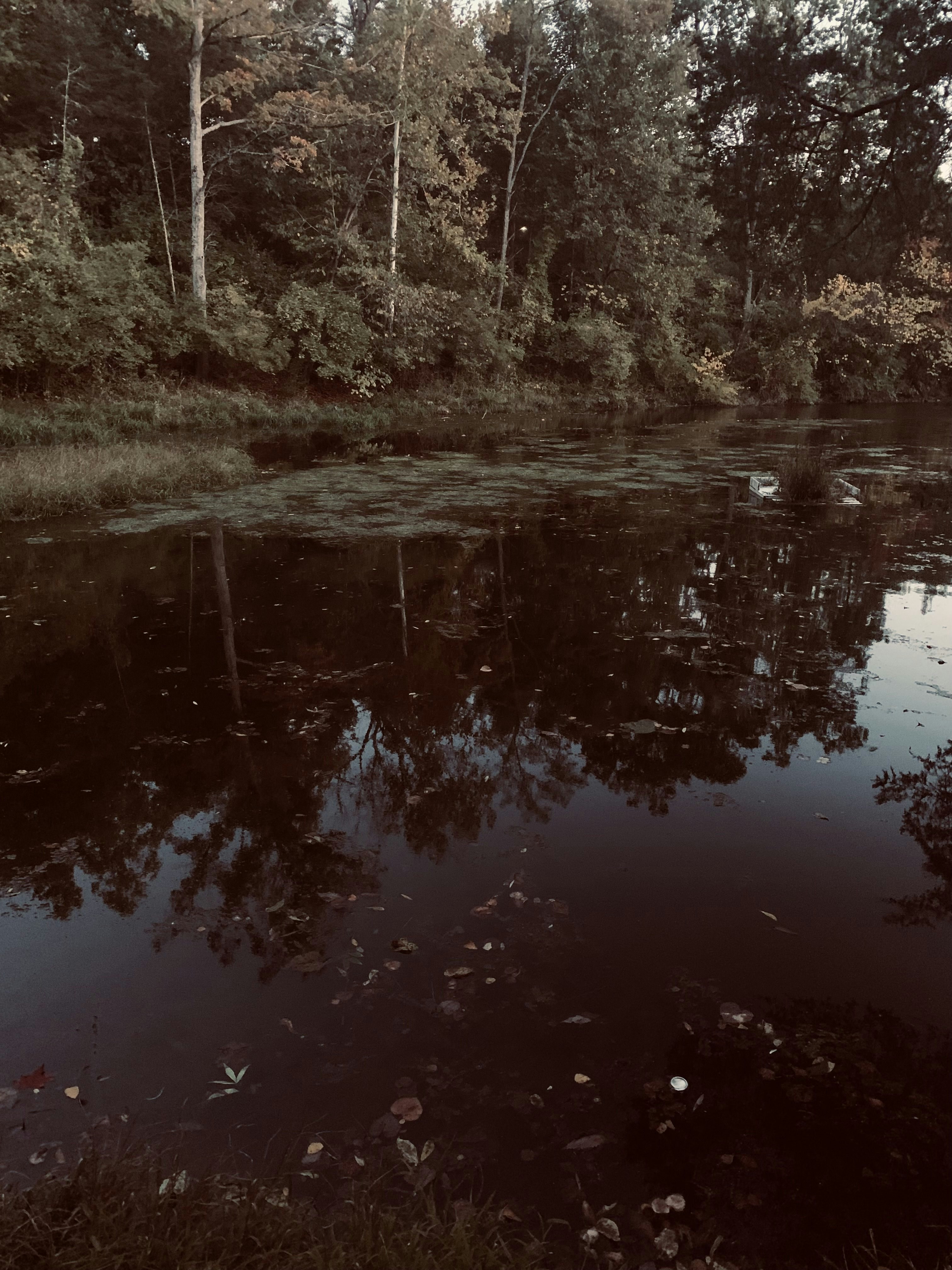 Photo by lilymaisie04