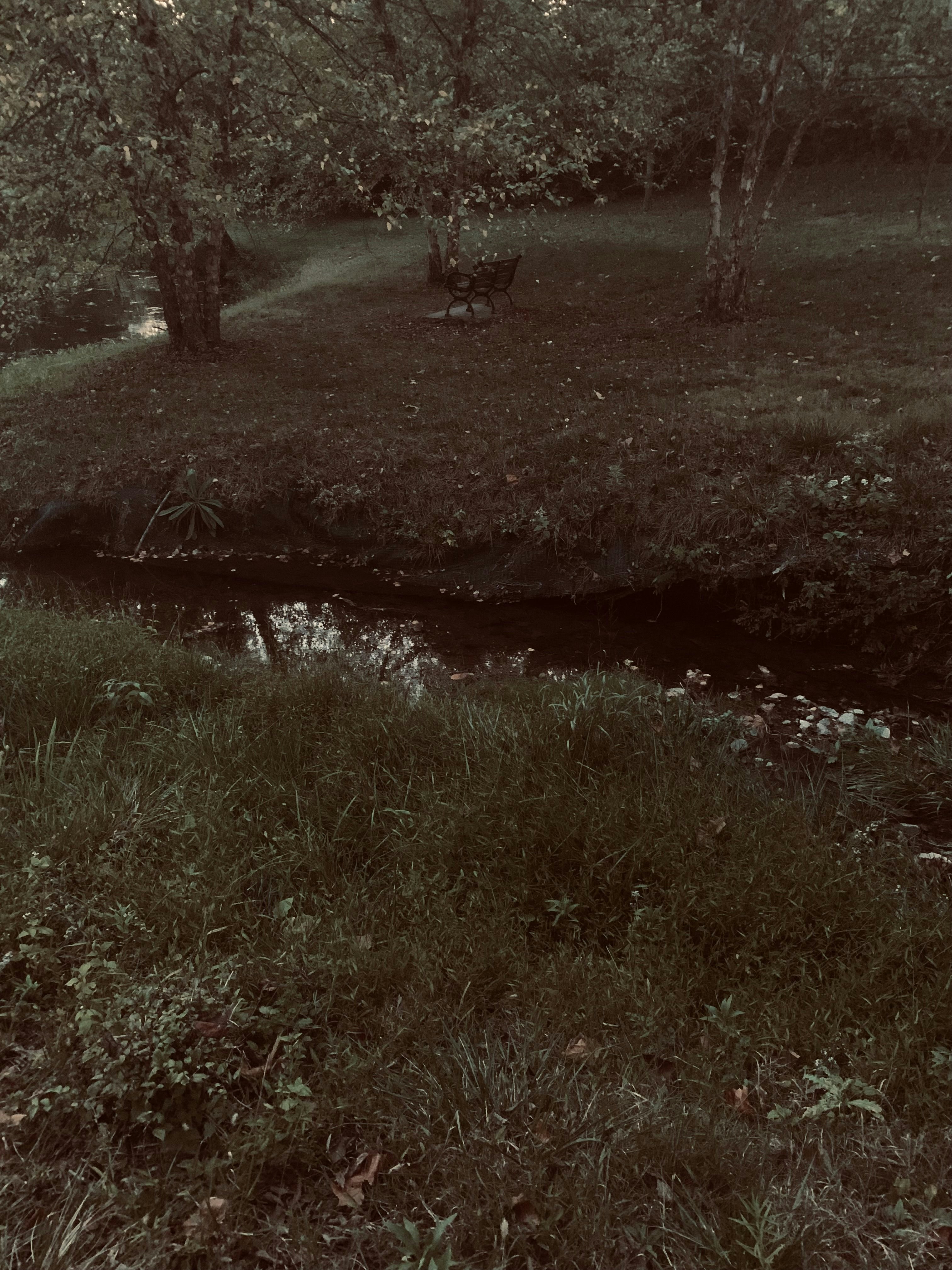 Photo by lilymaisie04