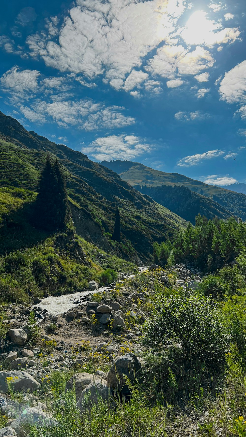 a stream running through a lush green hillside