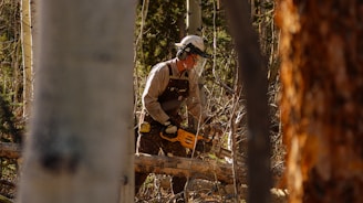 A man with a chainsaw in the woods