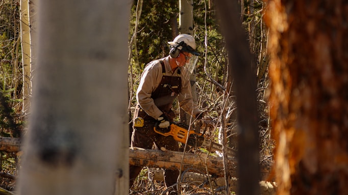 A man with a chainsaw in the woods