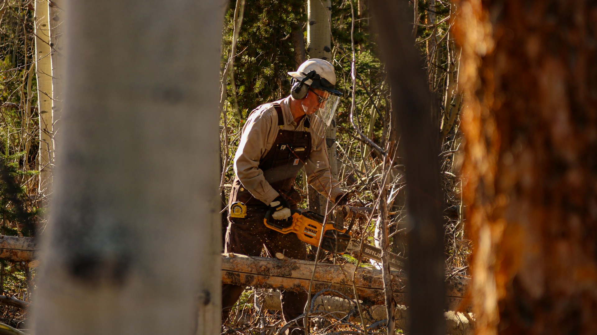 A man with a chainsaw in the woods