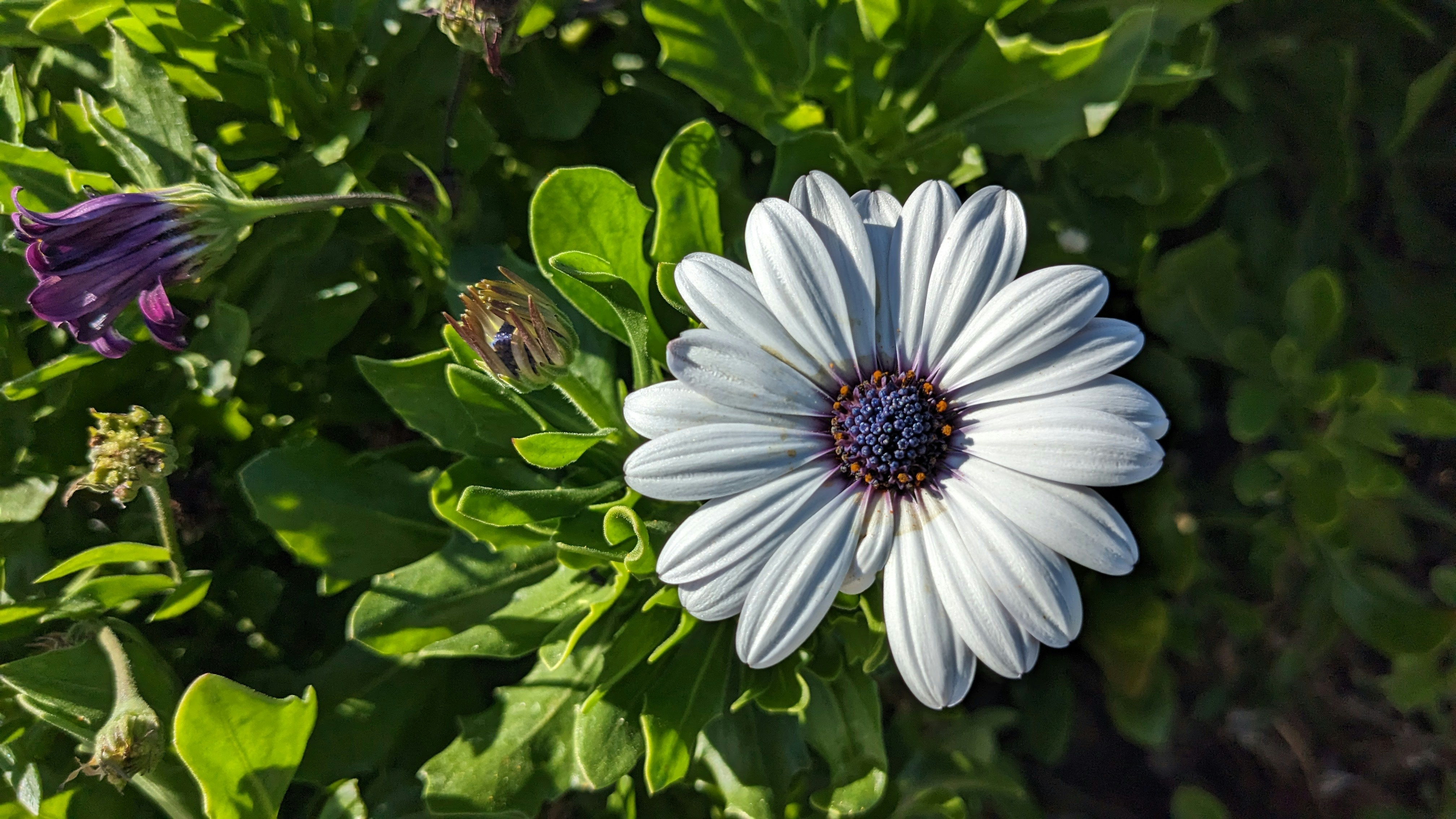 Photo by div21