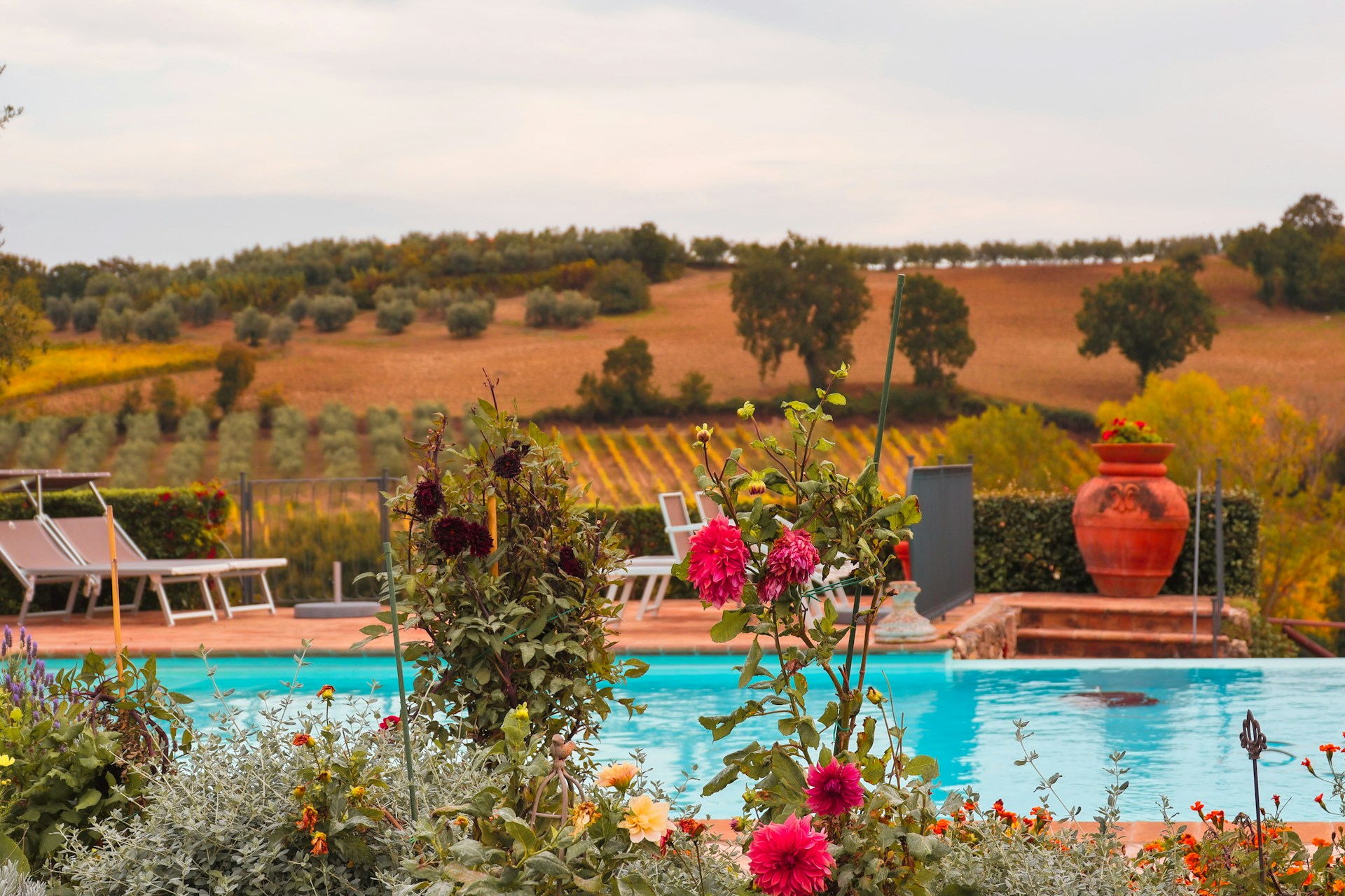 a pool surrounded by a lush green hillside