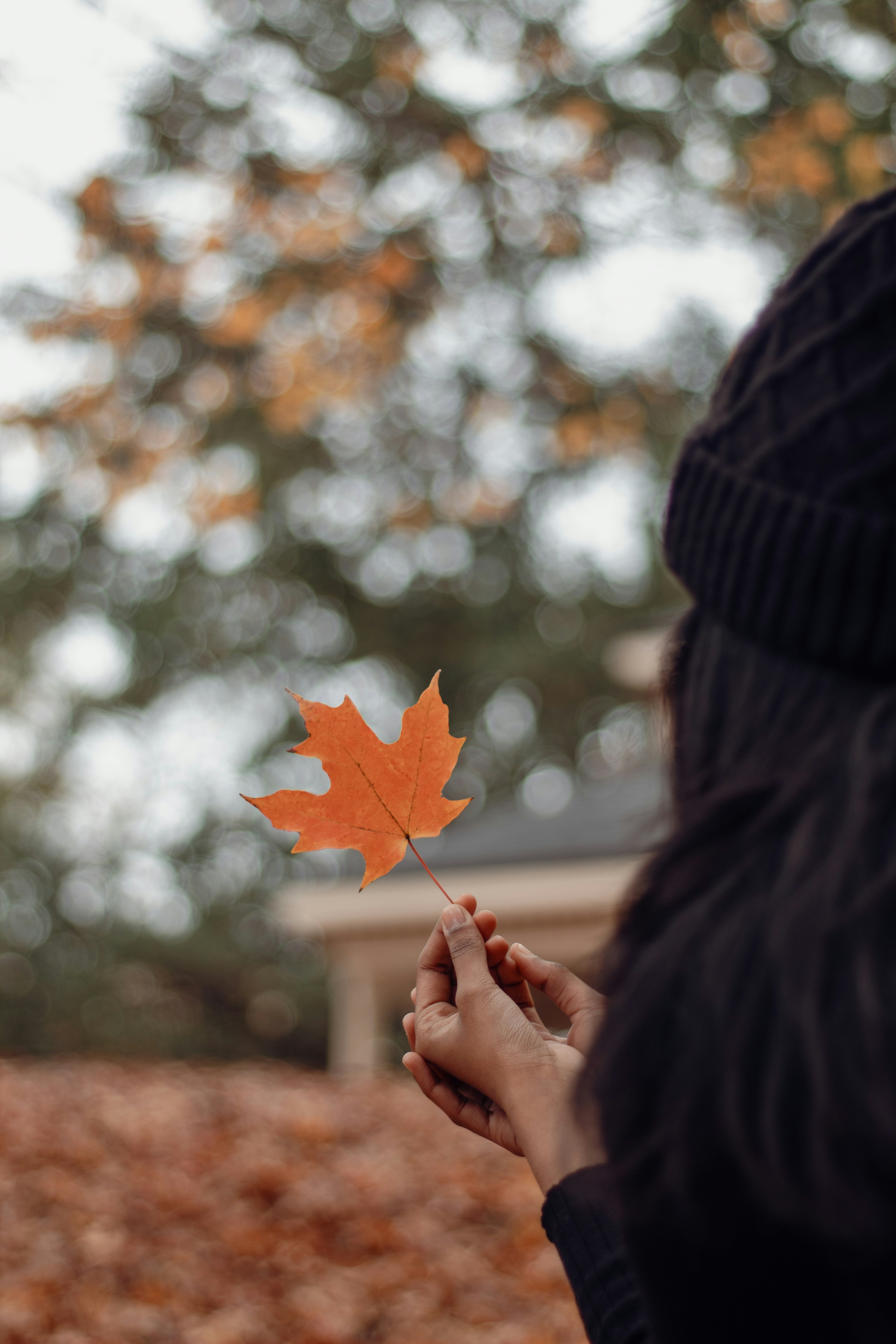 Photo by theimperatrix