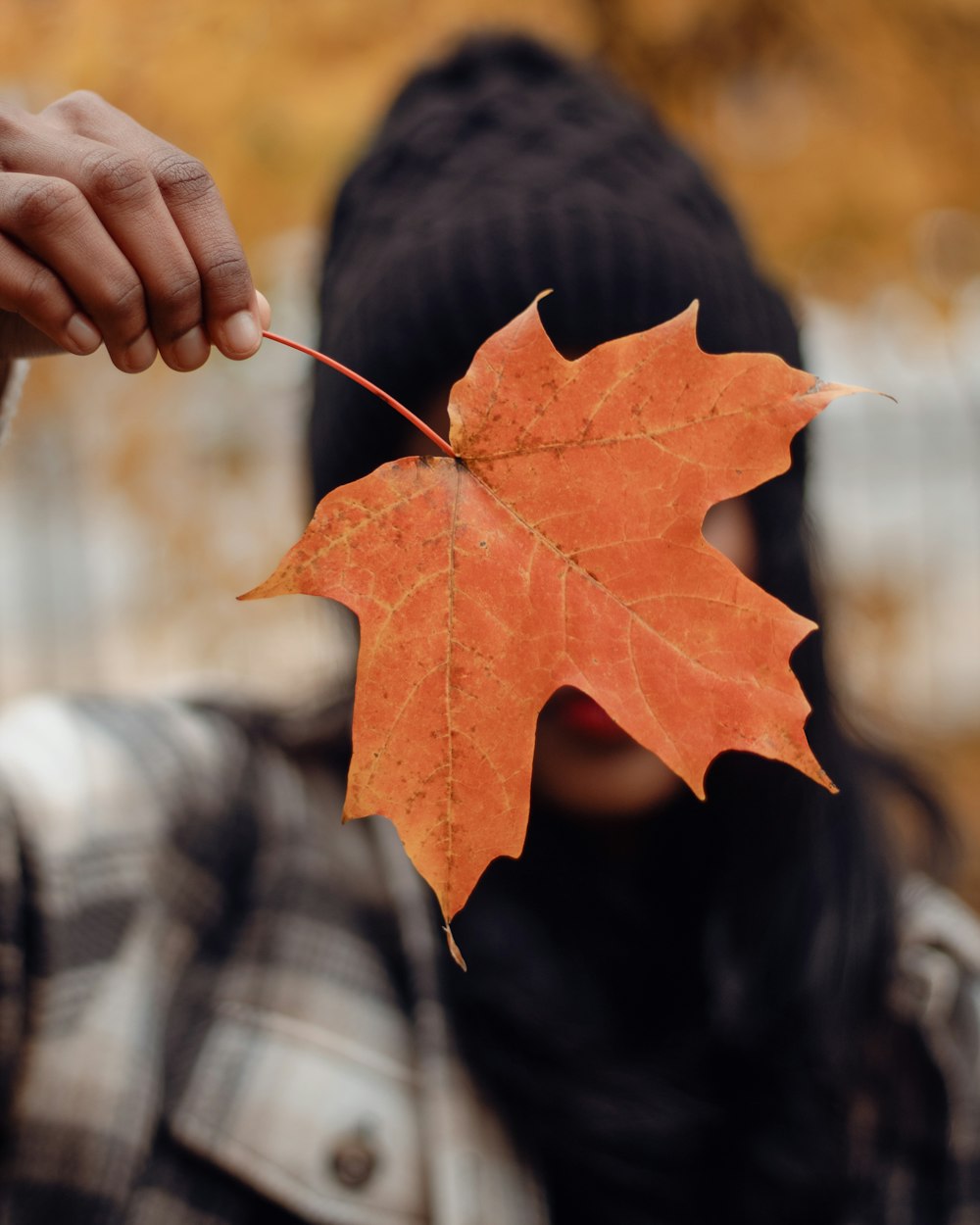 a person holding a leaf in front of their face