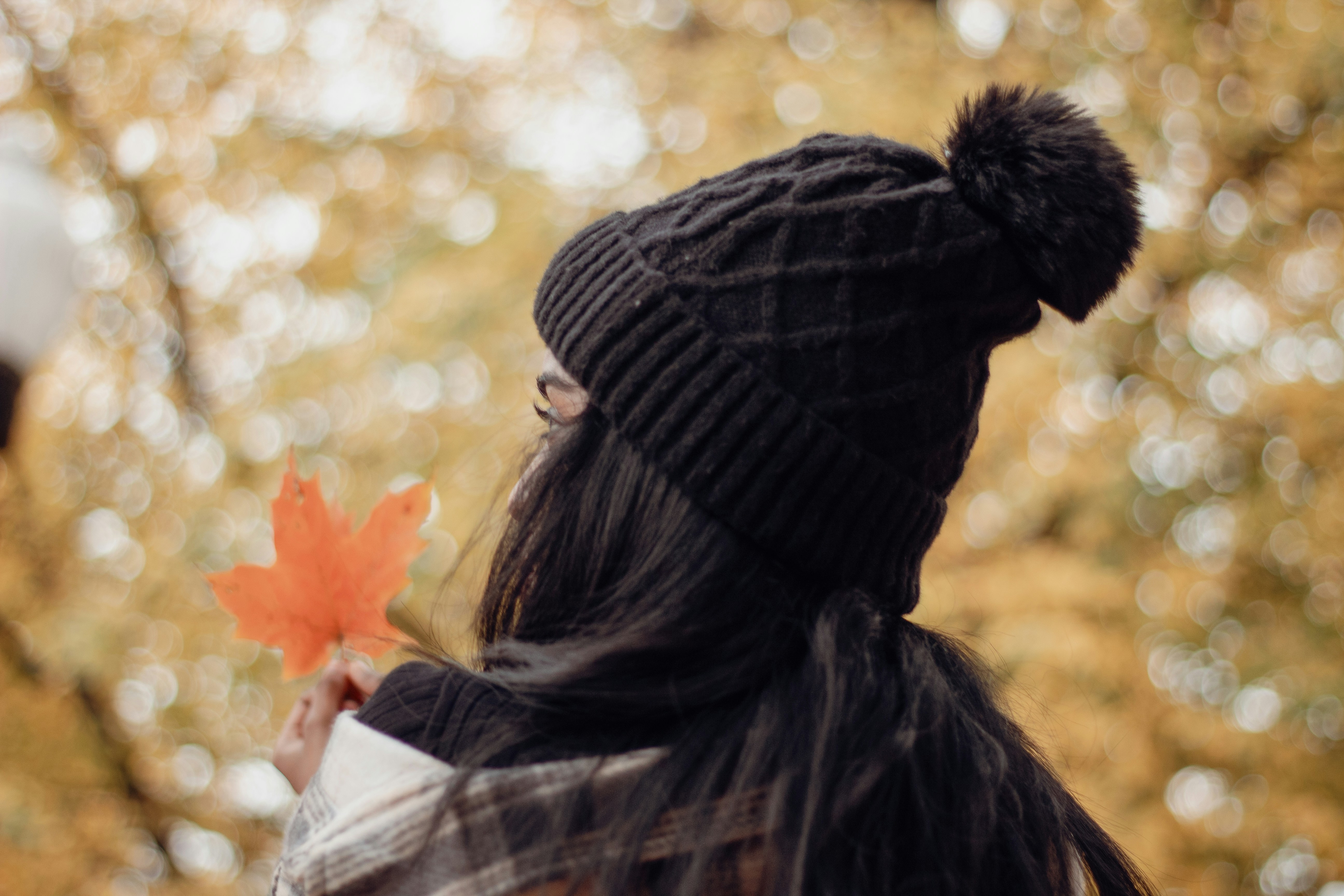 Photo by theimperatrix