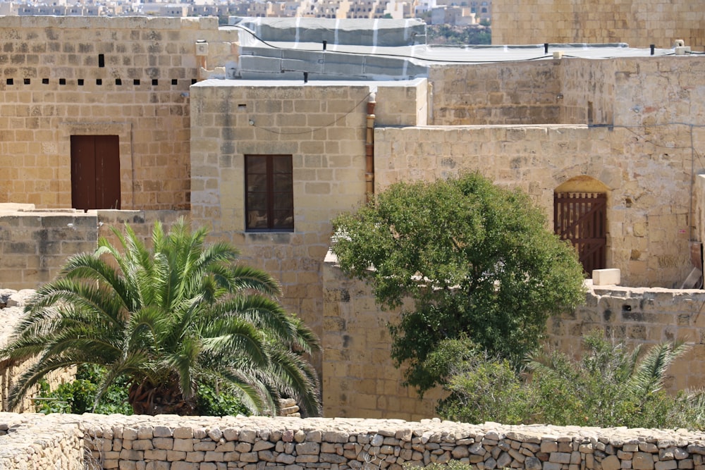 a stone building with a palm tree in front of it