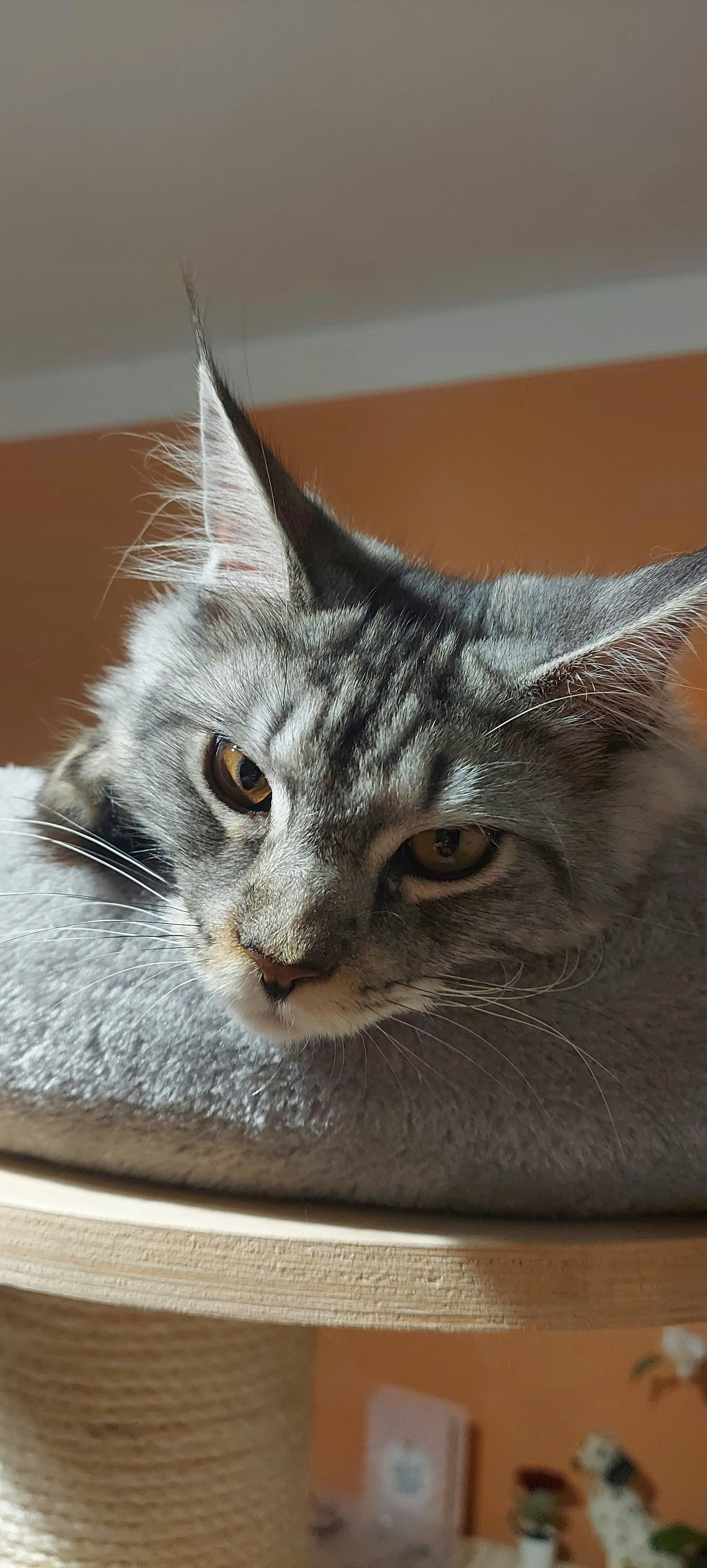 Photo by ritafreelance