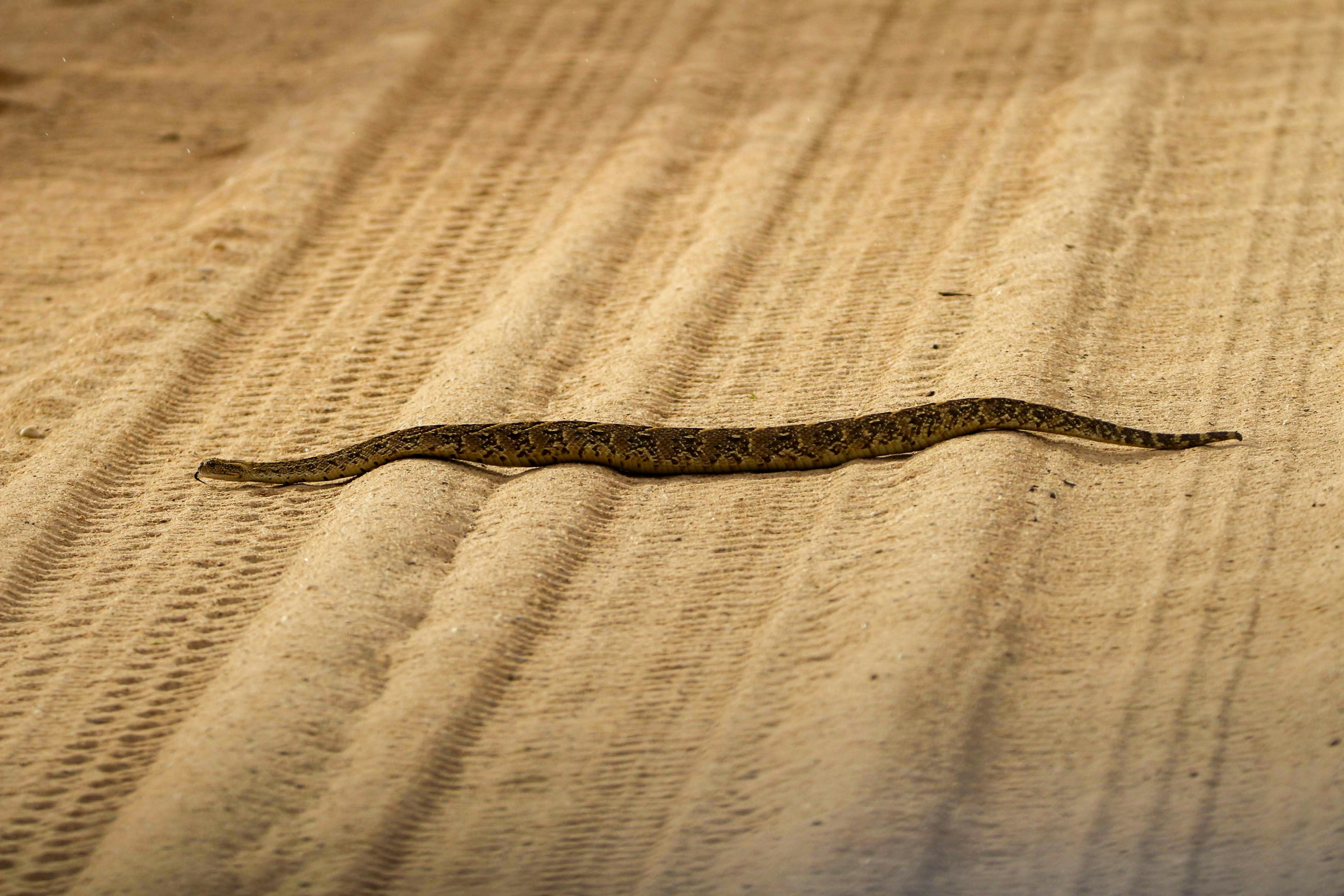 Photo by xav_the_moabite