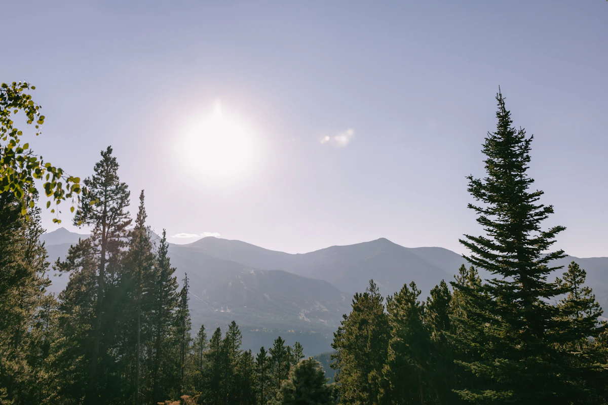 The sun over a forested ridge near Breckenridge, framed by tall pines