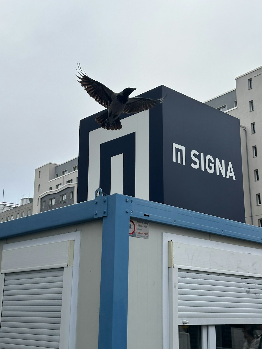 ein Vogel, der über ein Gebäude mit einem Schild auf dem Dach fliegt