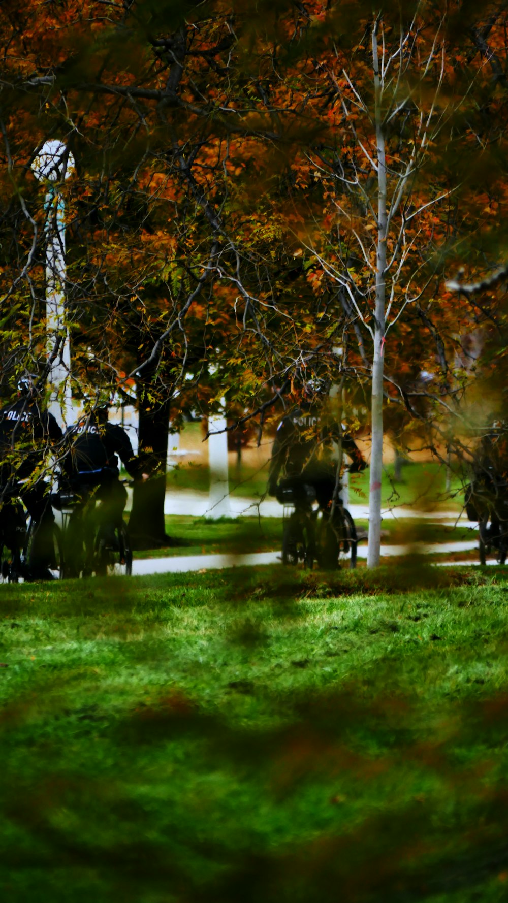 a group of people riding horses in a park