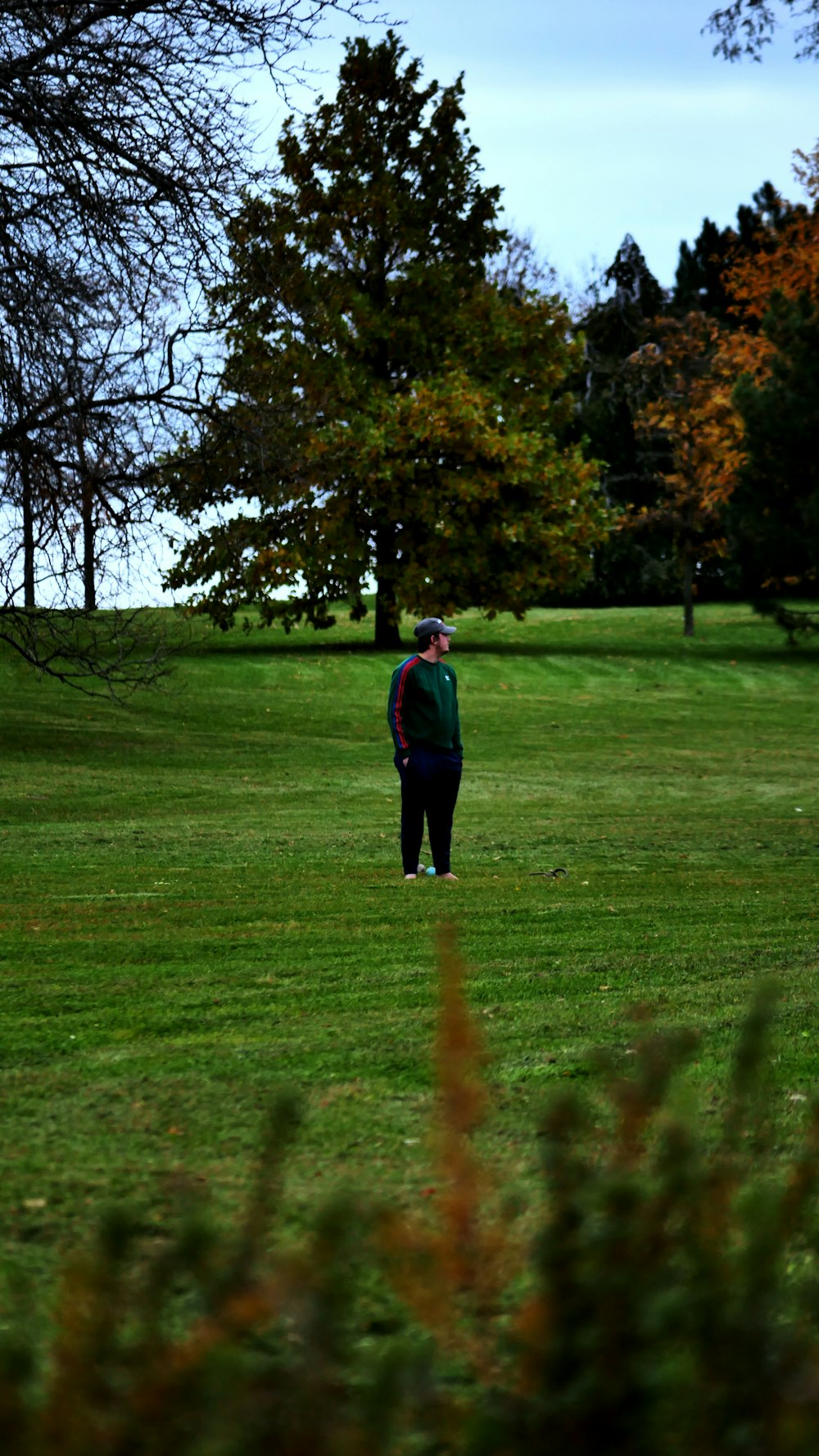 a person standing in a field with a frisbee