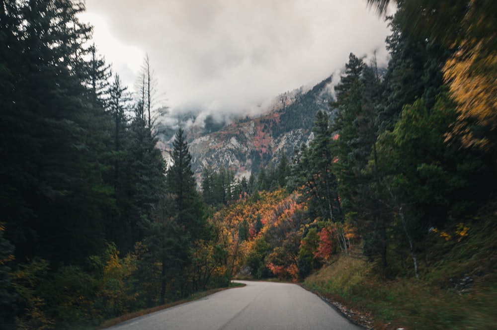 a road with a mountain in the background