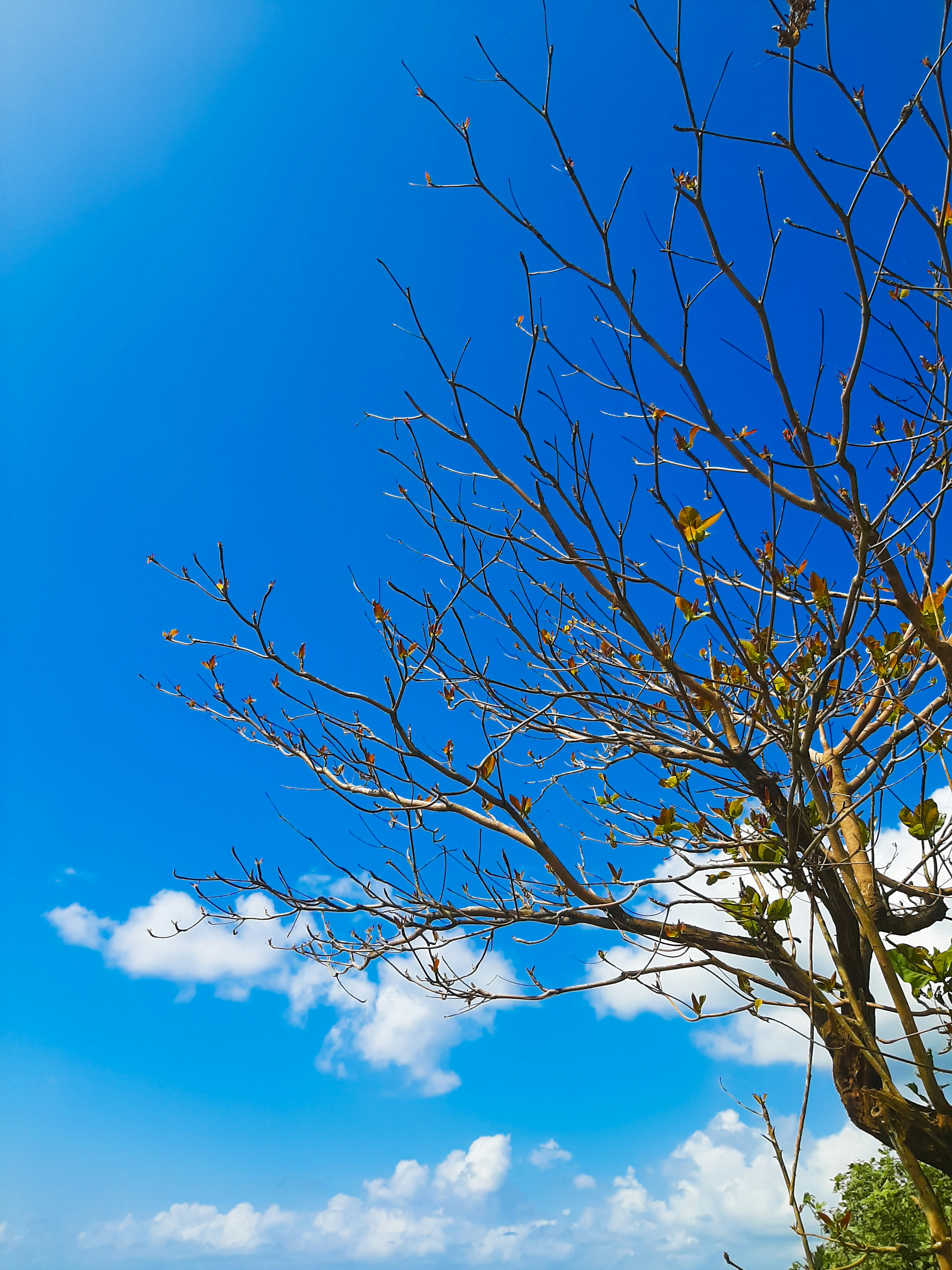 Photo by jangjung_ki