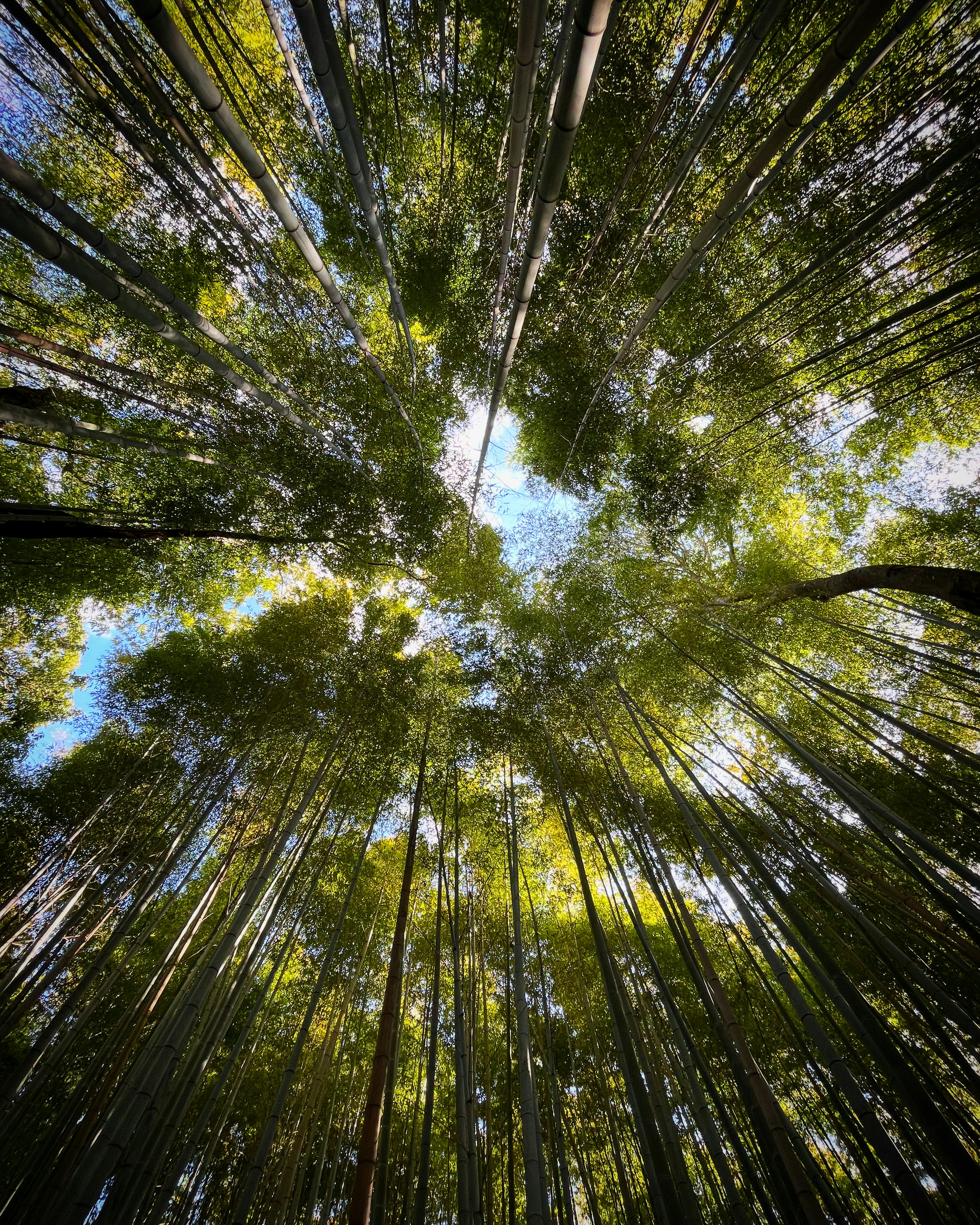 Photo by urbansurfer