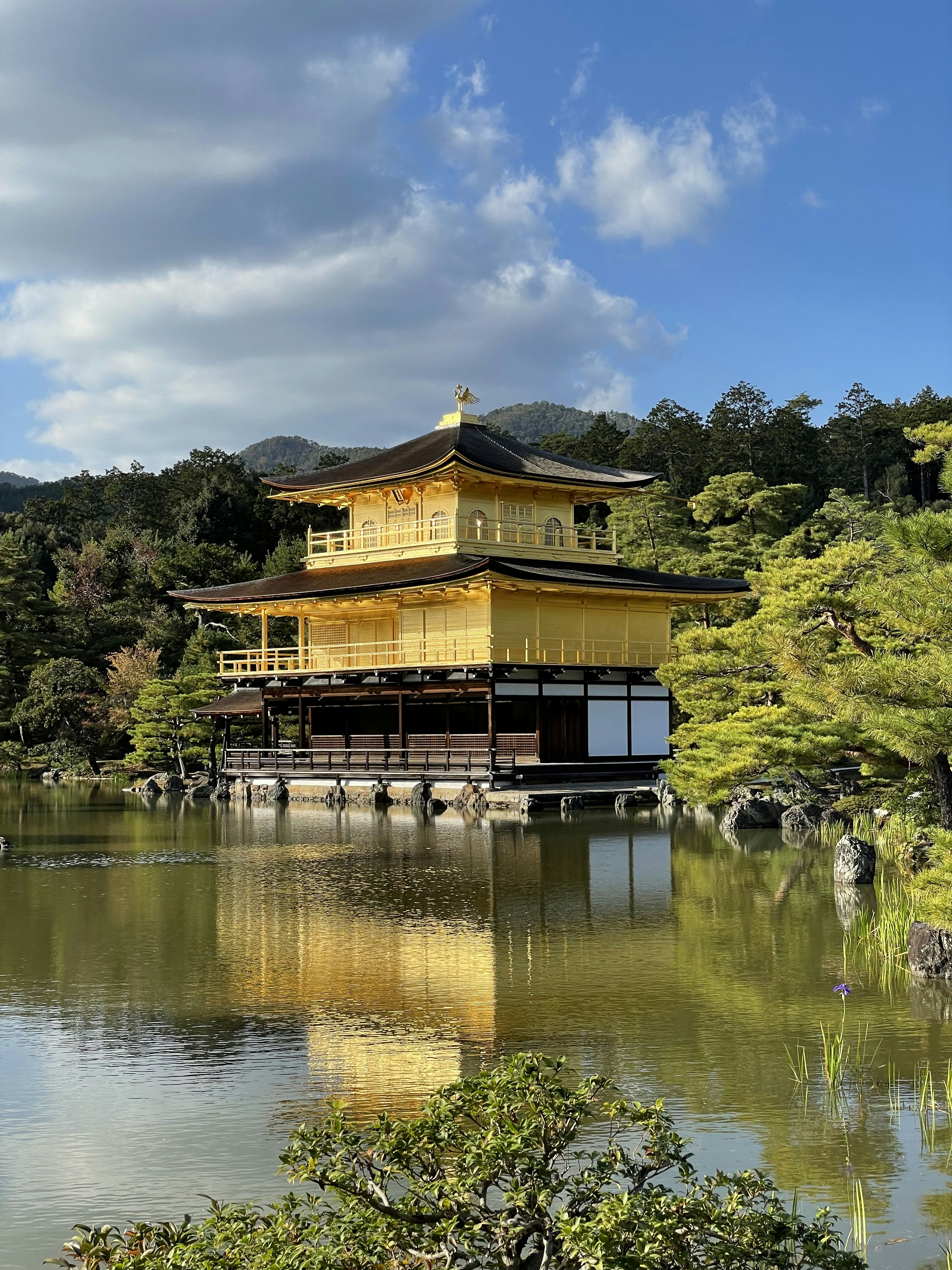 Photo by urbansurfer