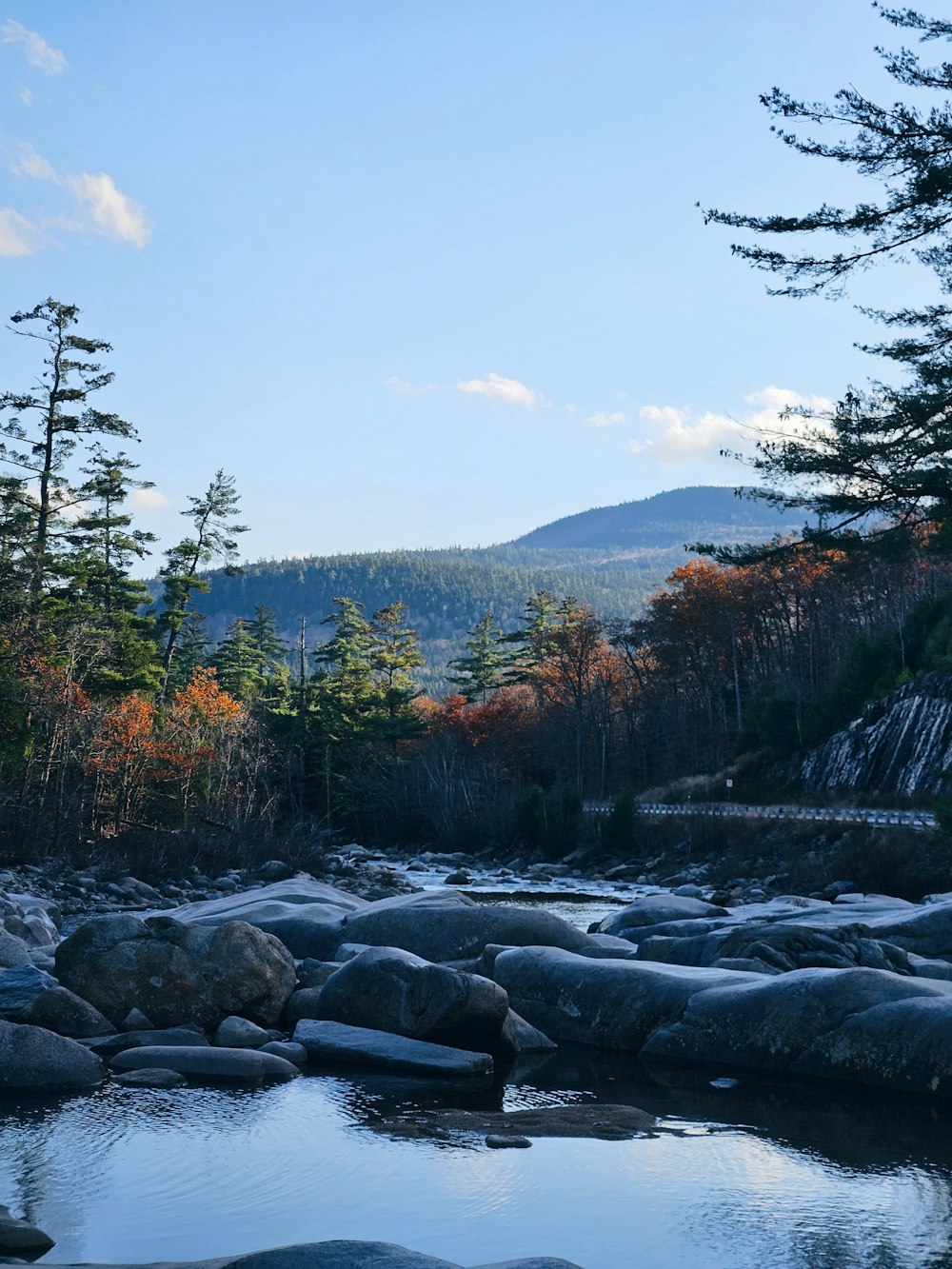 a river running through a forest filled with lots of rocks