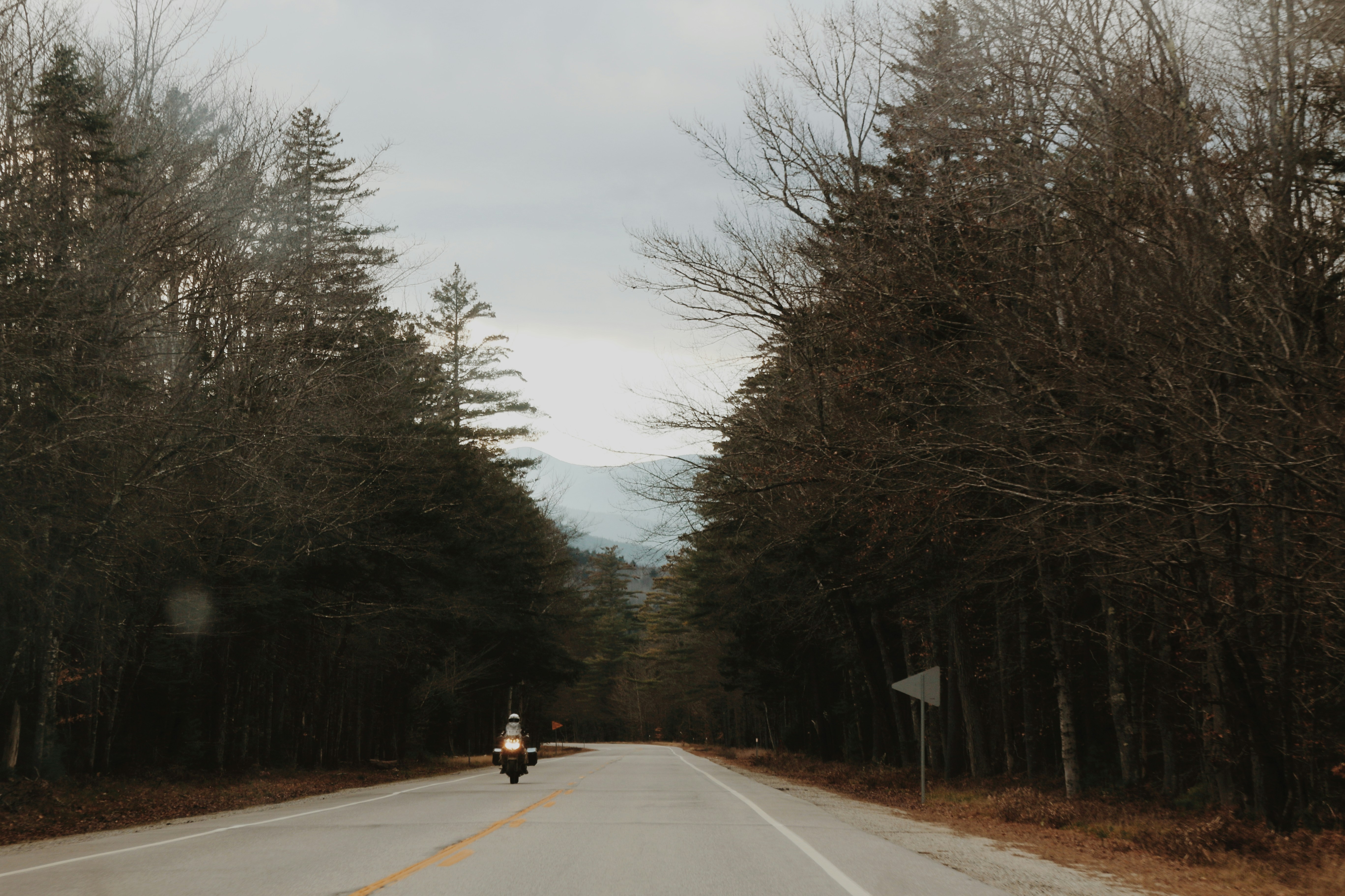 a person riding a motorcycle down a road surrounded by trees